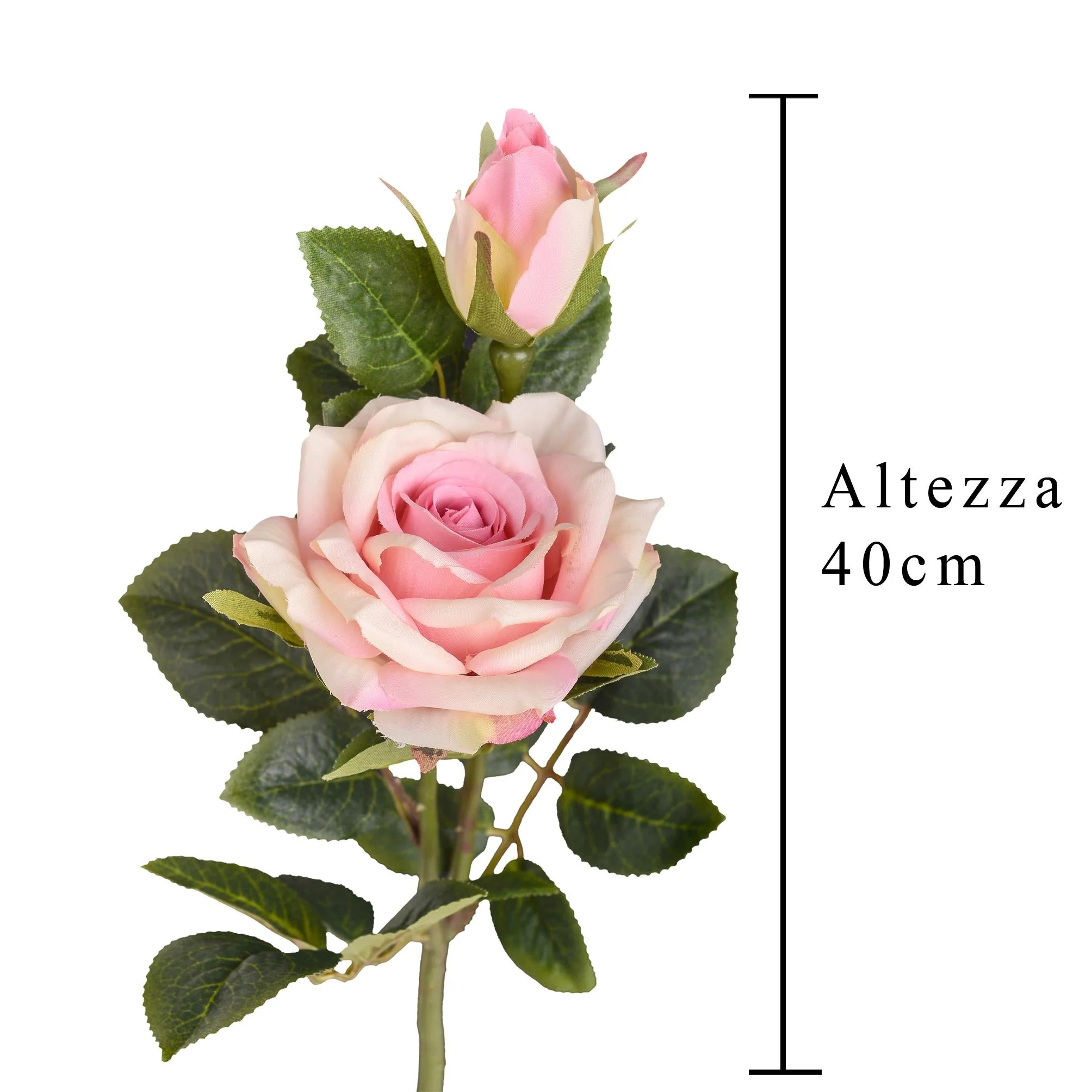 Immagine prodotto 2