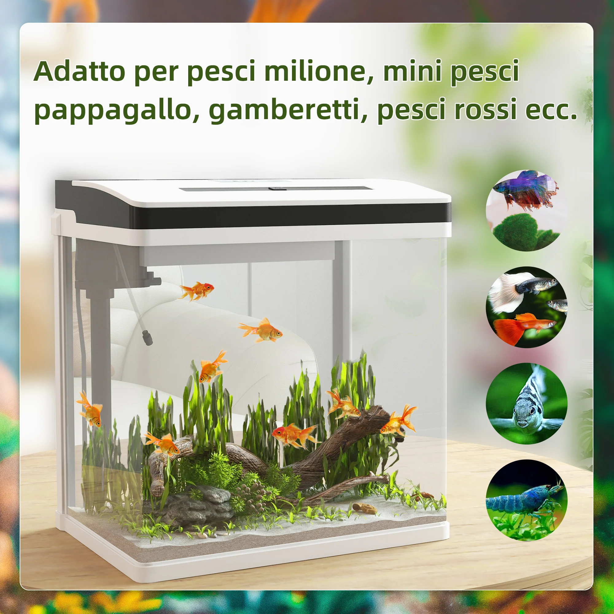 Immagine prodotto 4