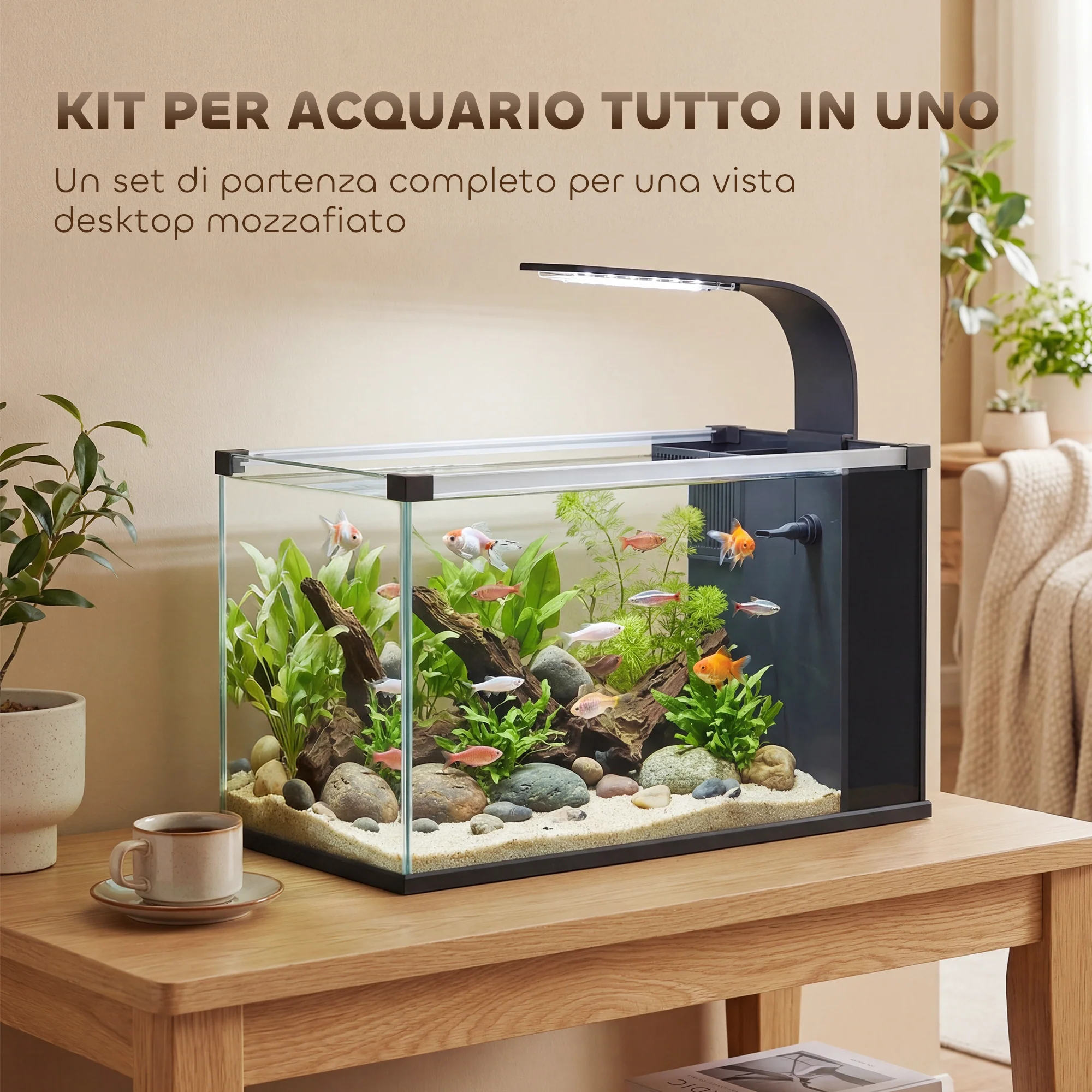 Immagine prodotto 4