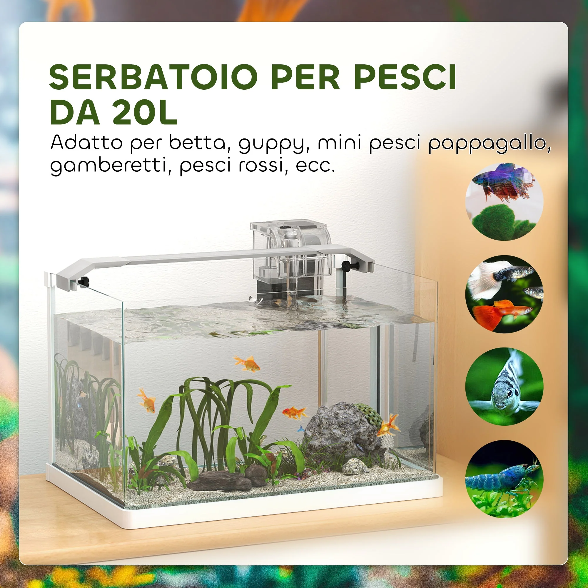 Immagine prodotto 6