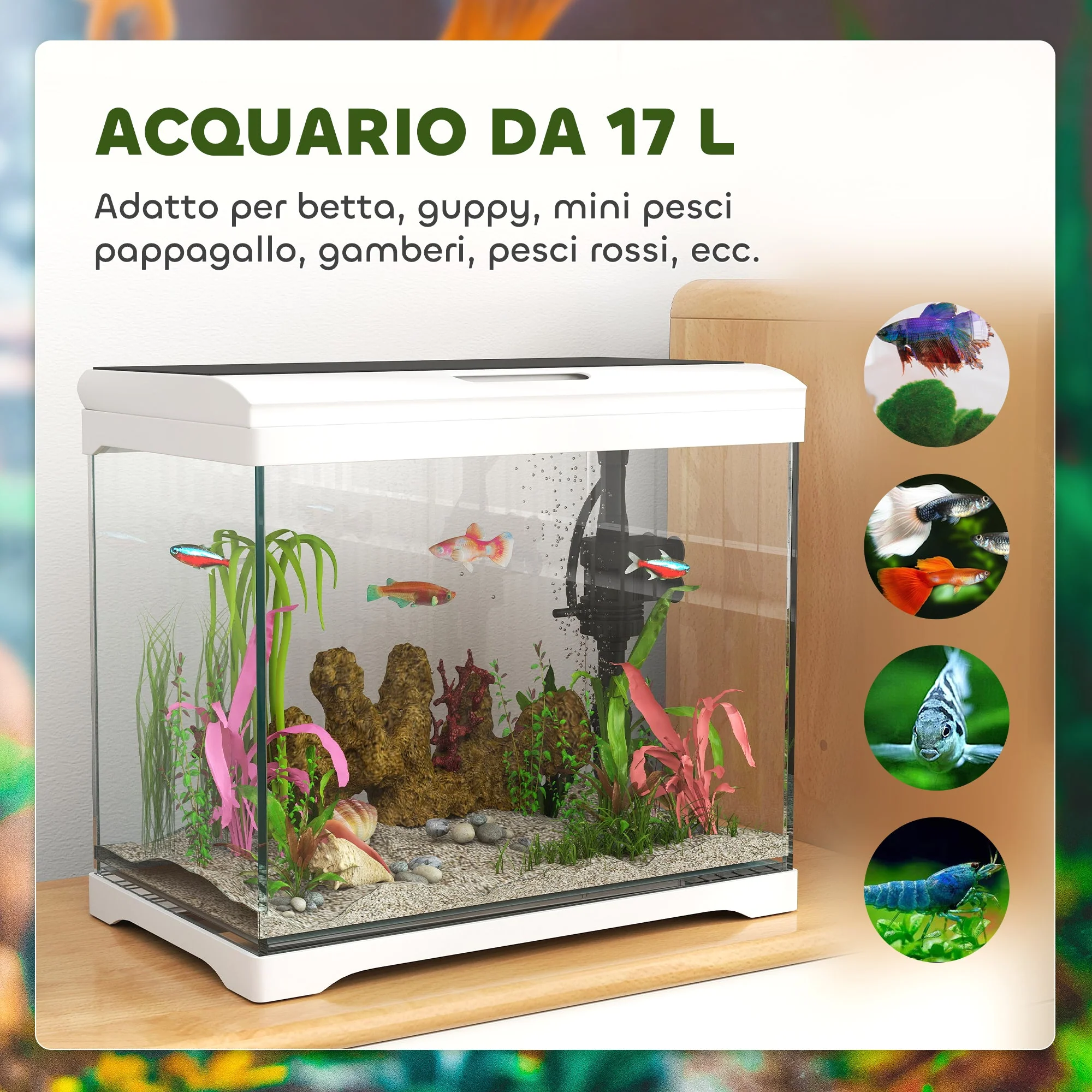 Immagine prodotto 5