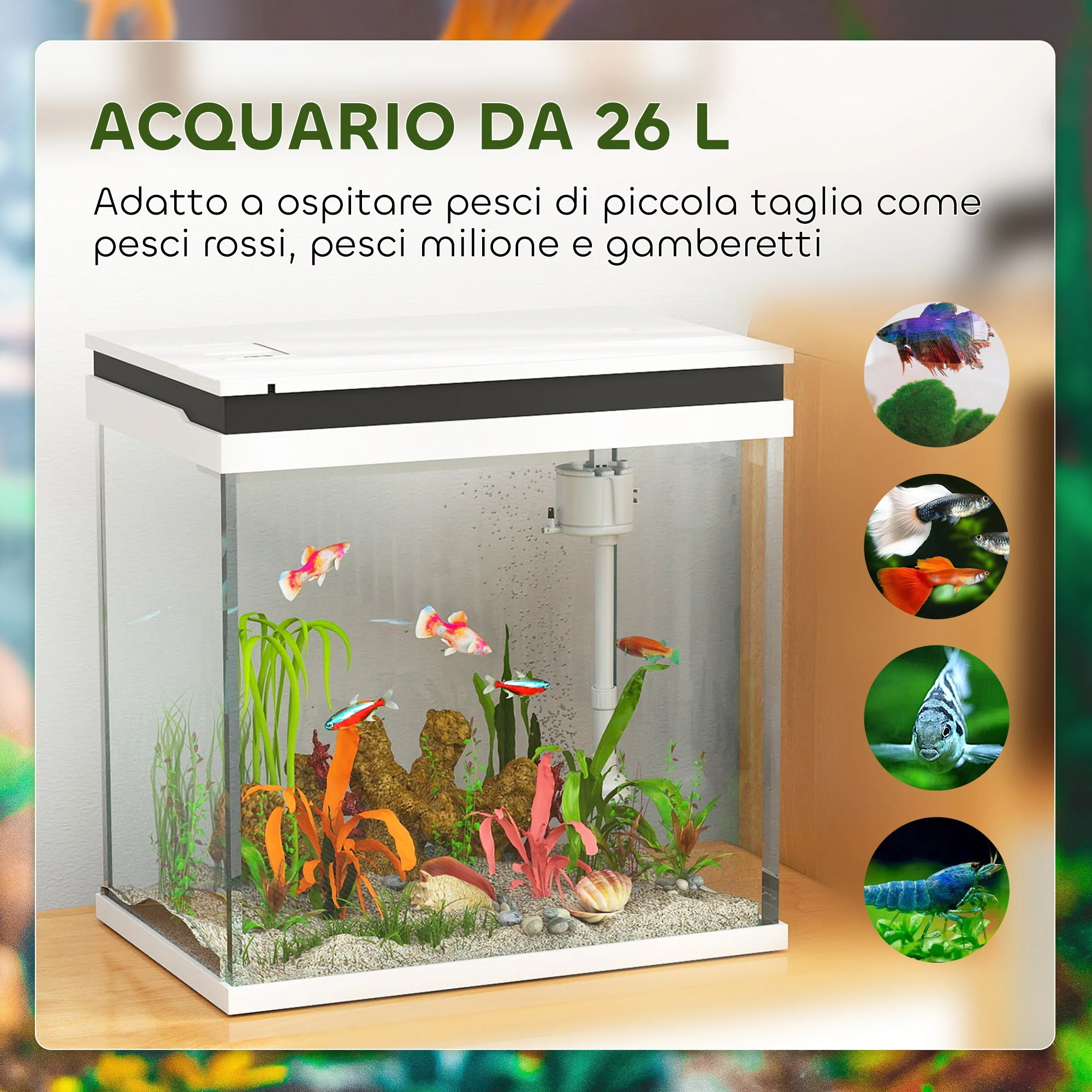 Immagine prodotto 5