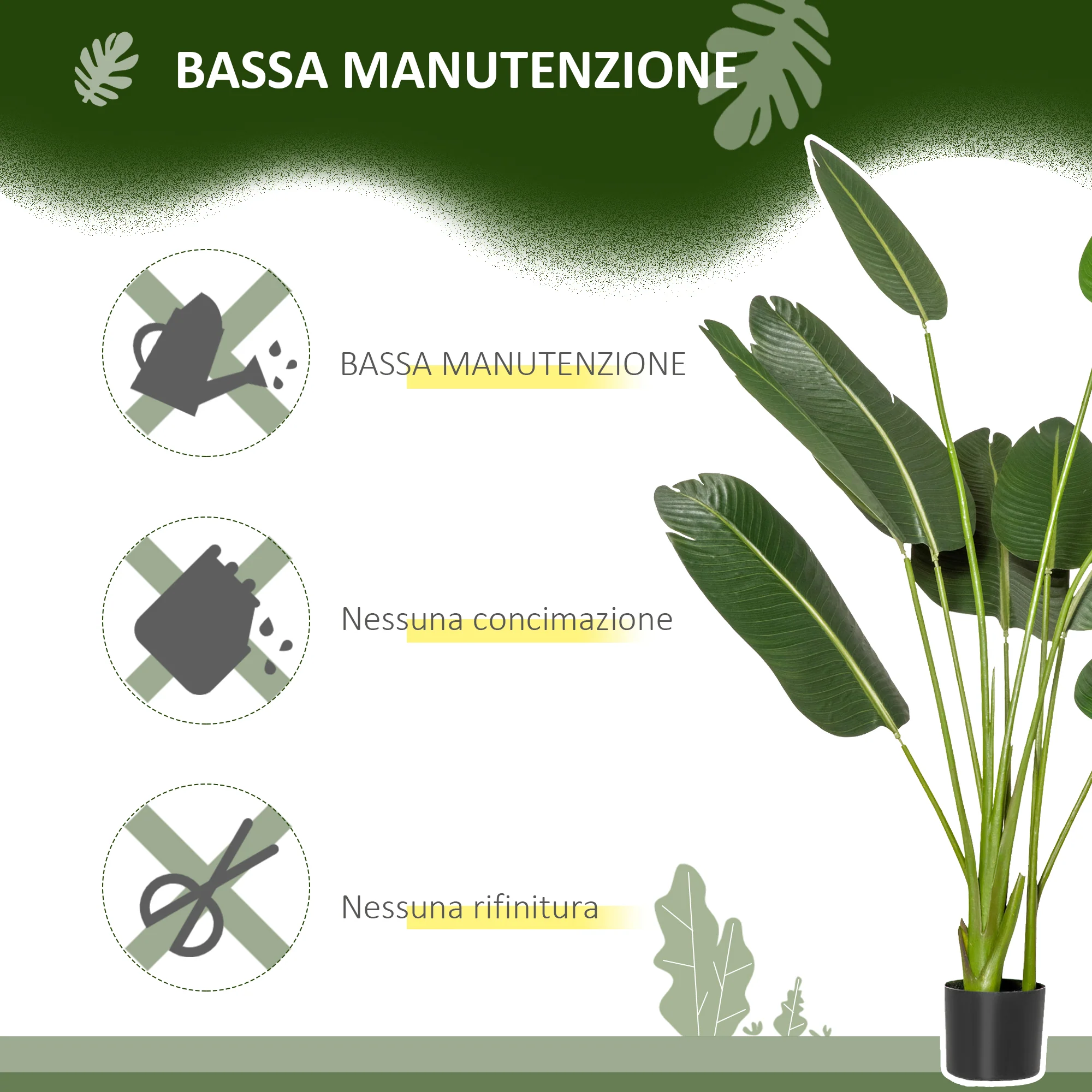 Immagine prodotto 6