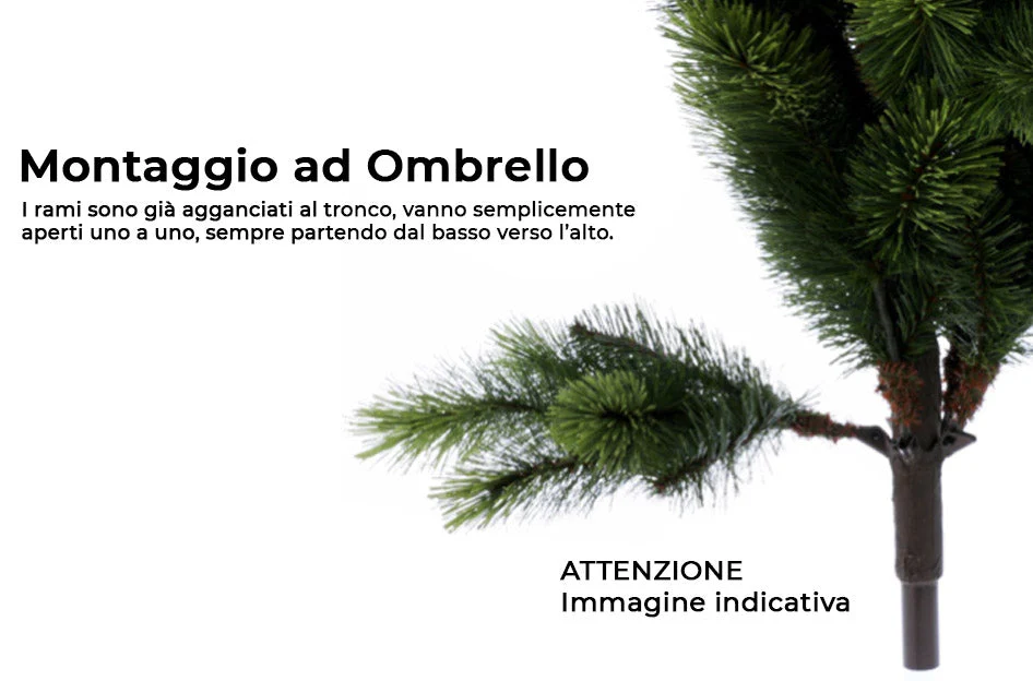 Immagine prodotto 3