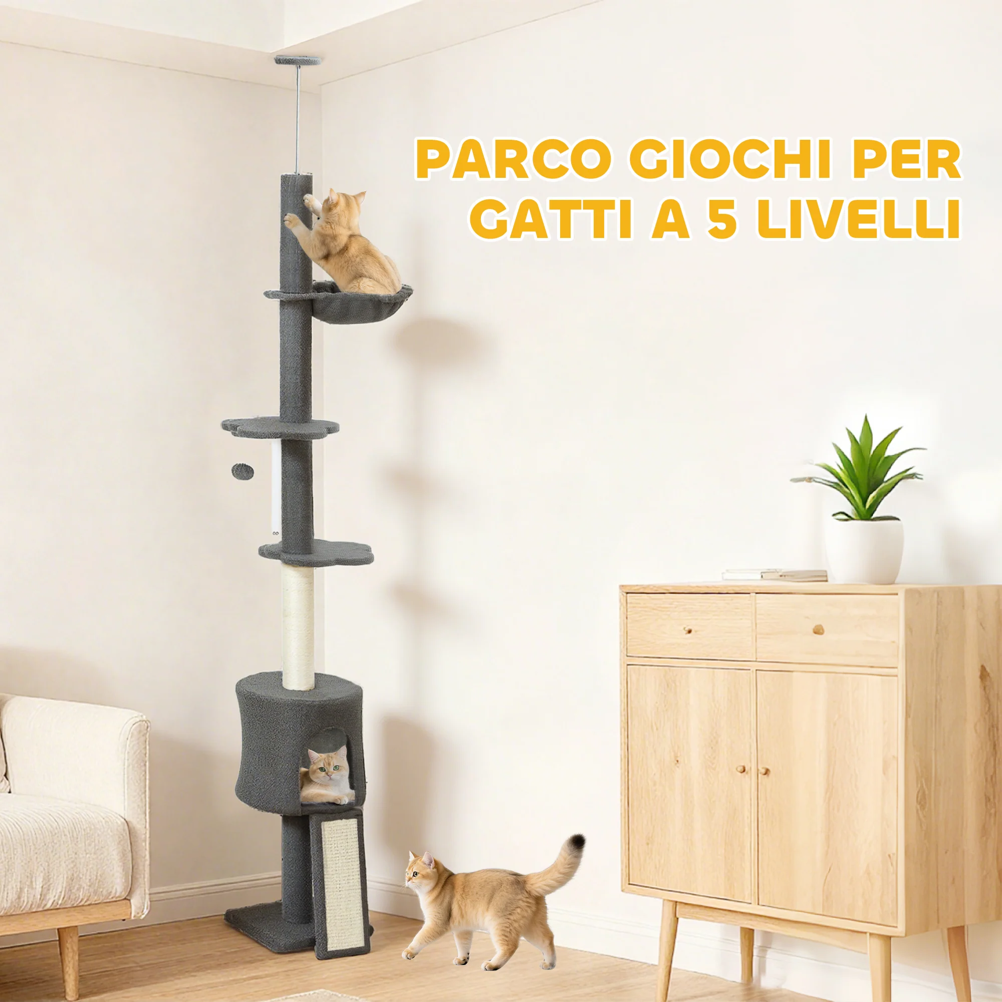 Immagine prodotto 6