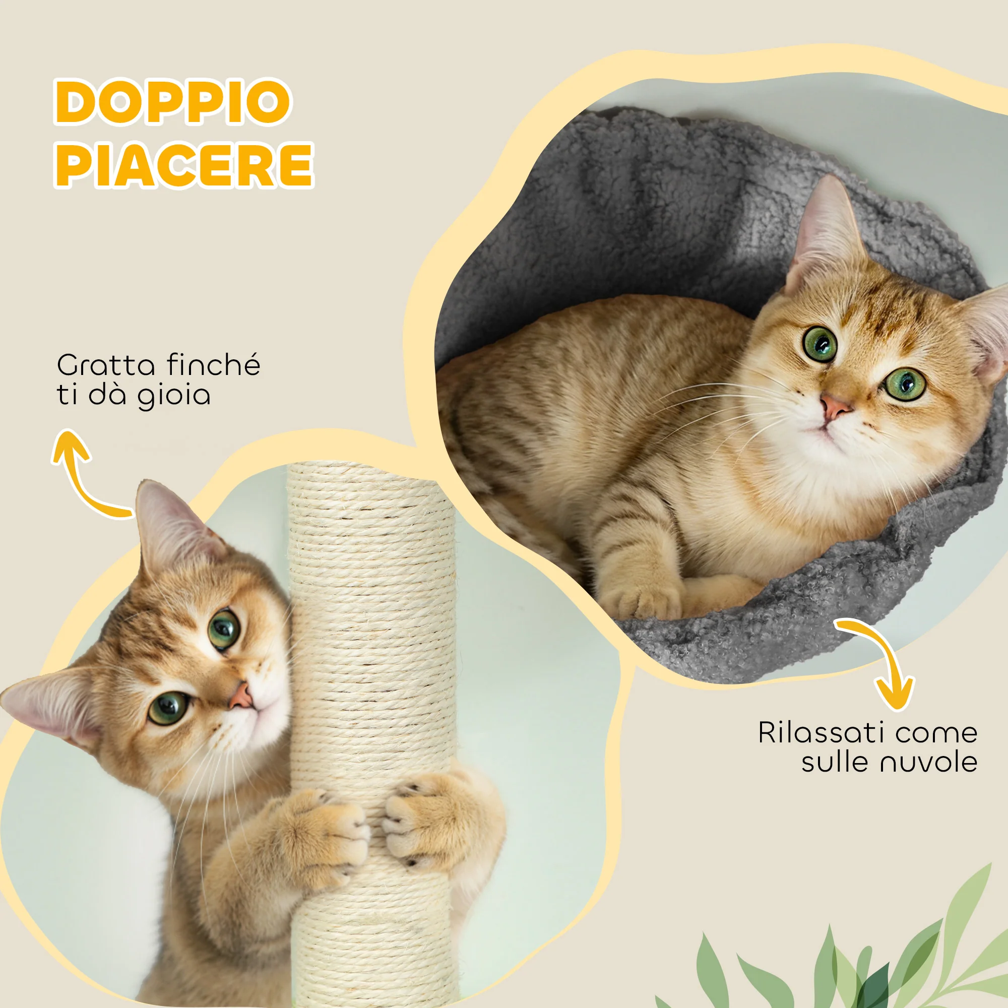 Immagine prodotto 8