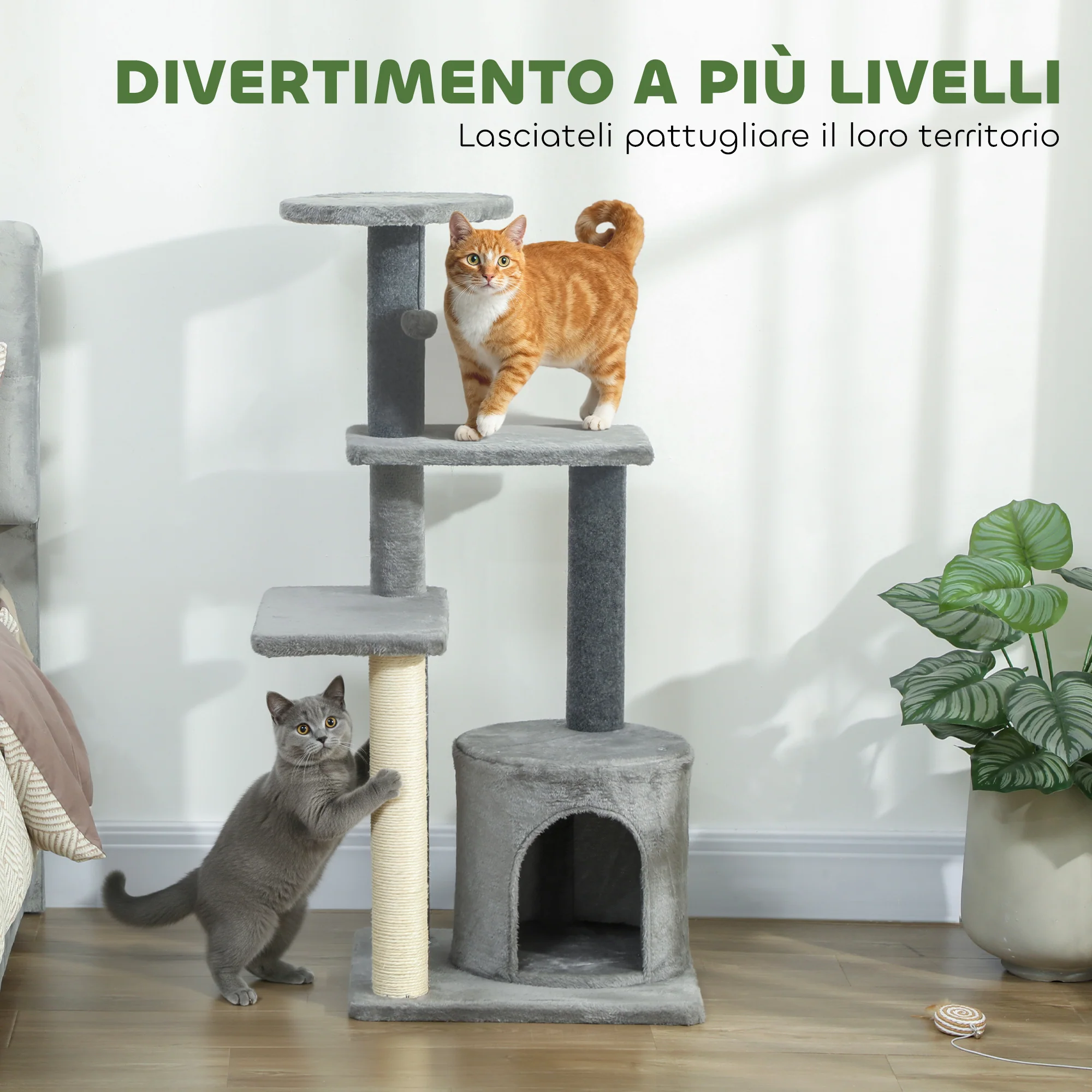 Immagine prodotto 4