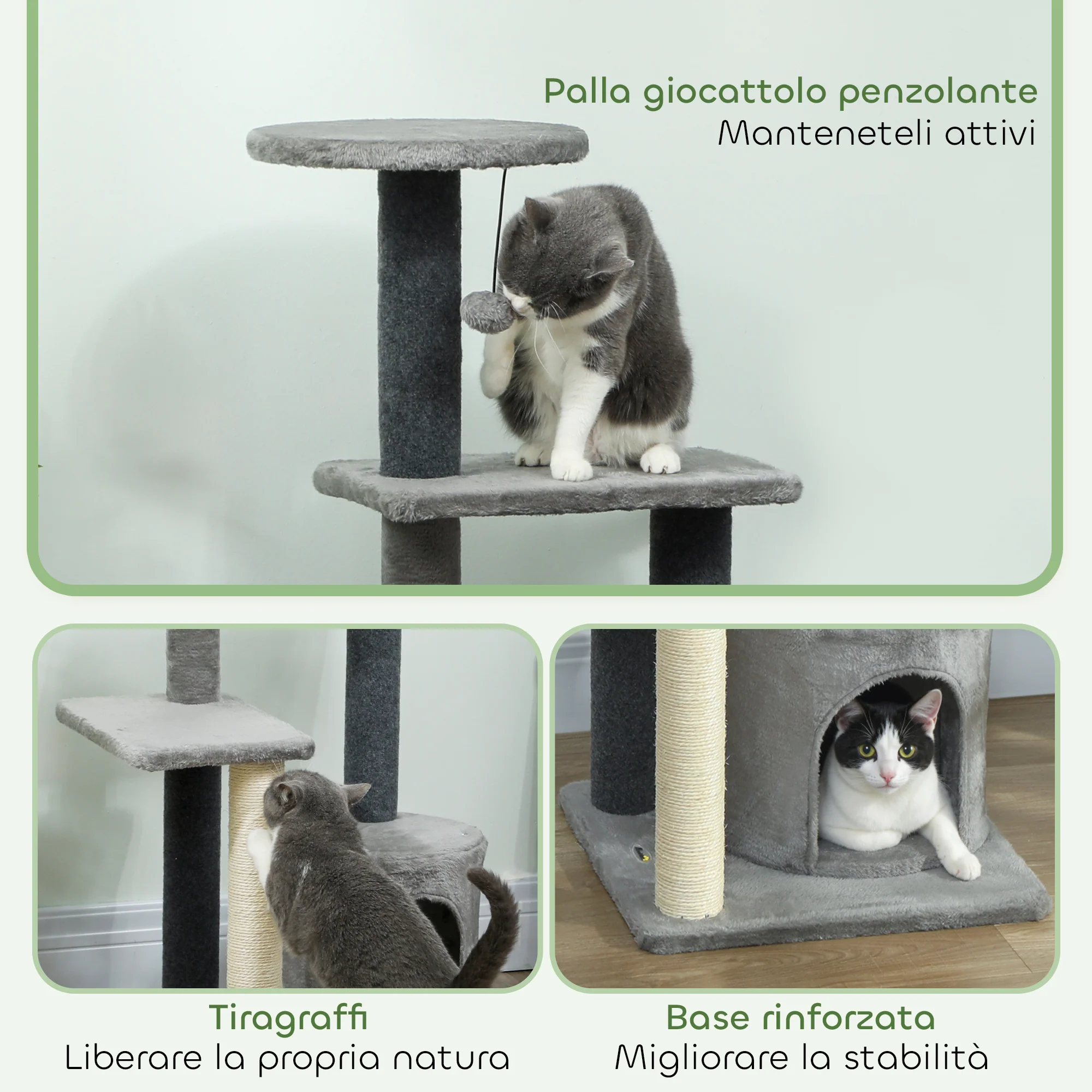Immagine prodotto 6