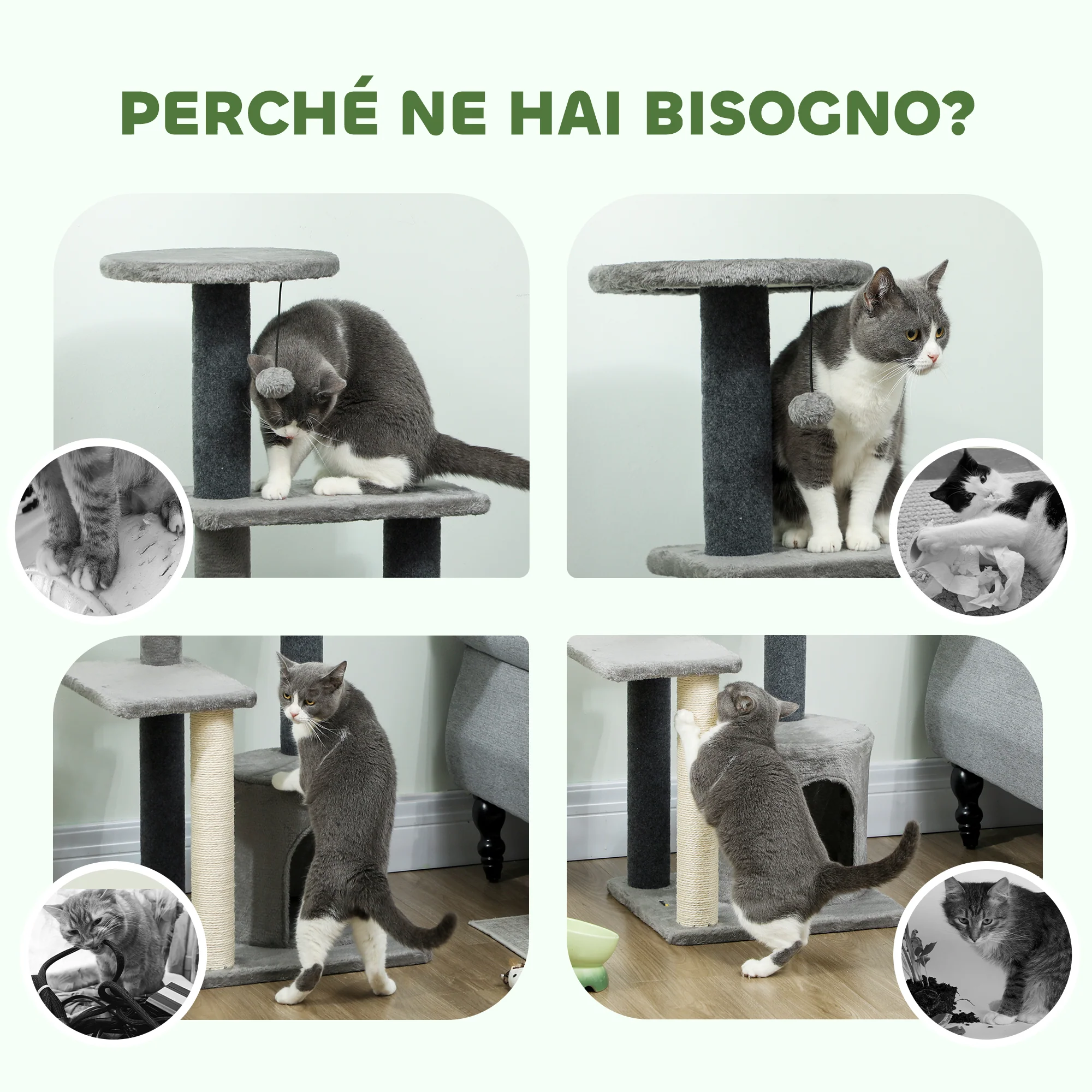 Immagine prodotto 7
