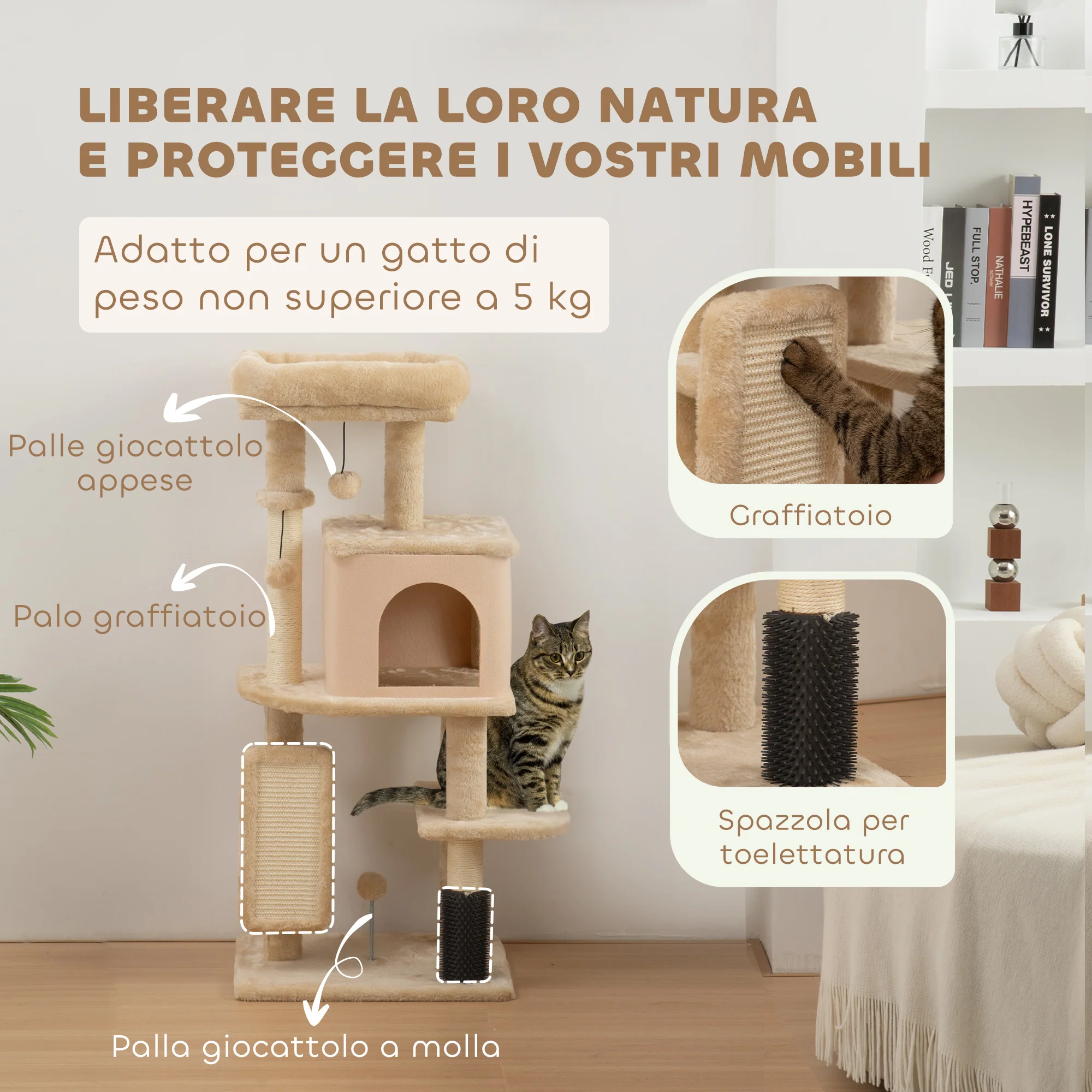 Immagine prodotto 5
