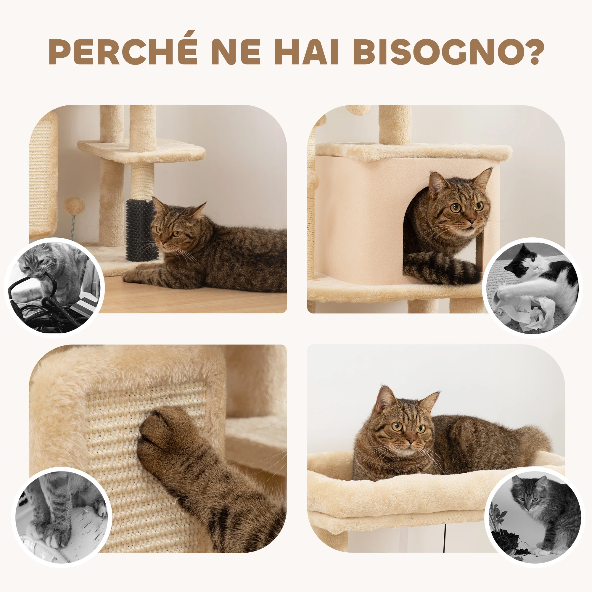 Immagine prodotto 7