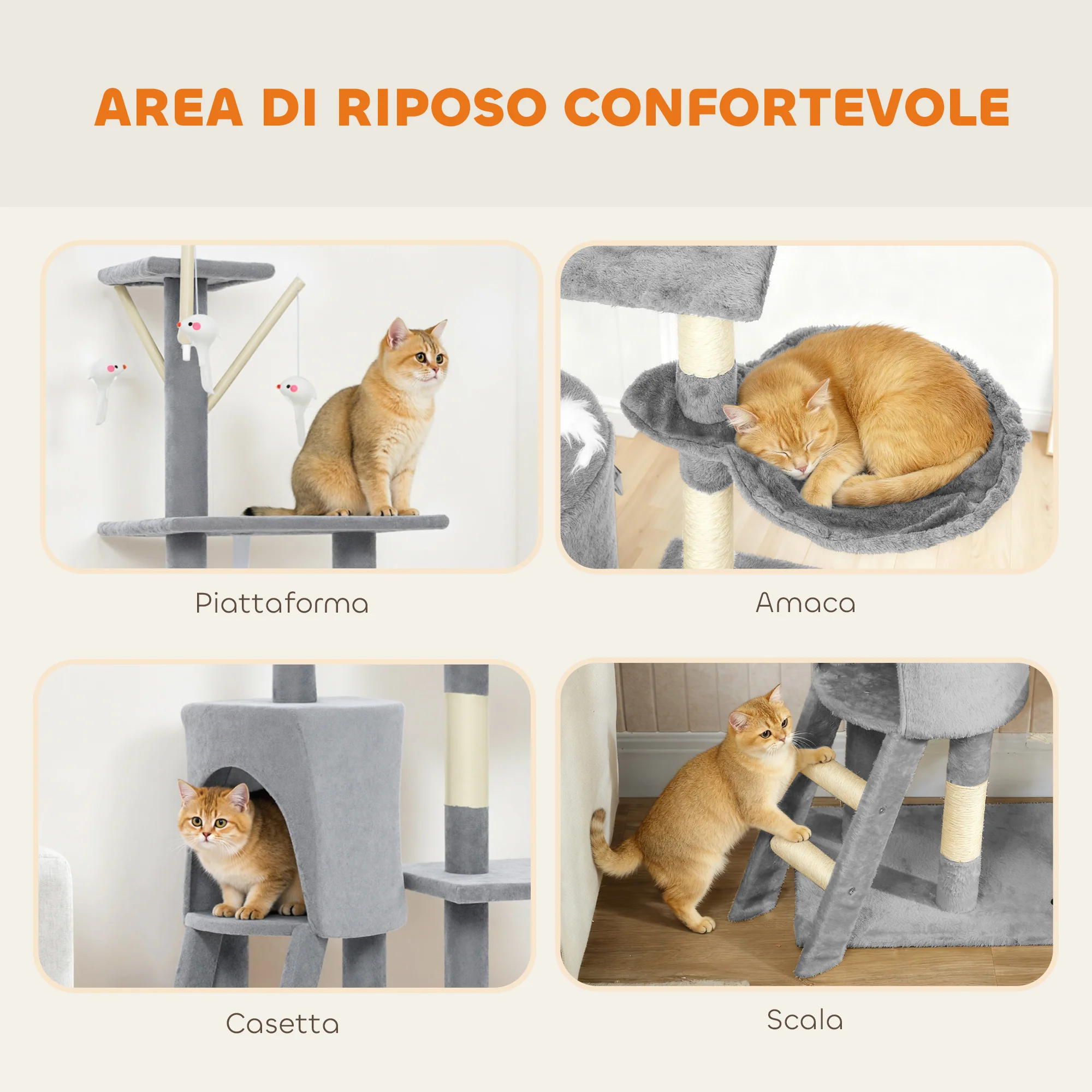 Immagine prodotto 5