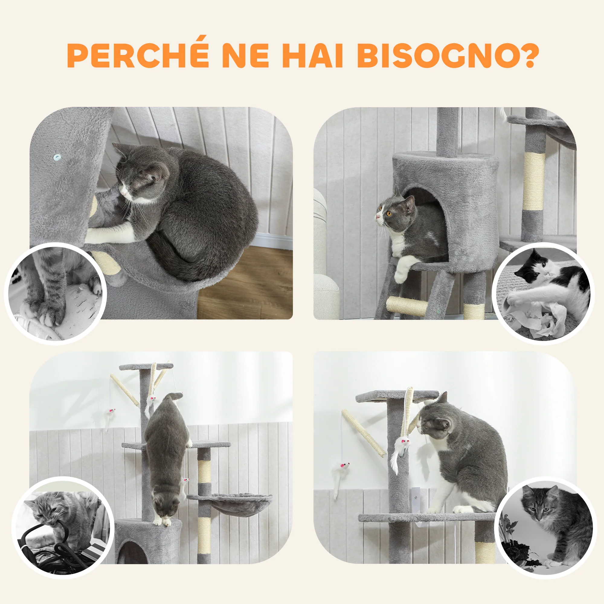 Immagine prodotto 8
