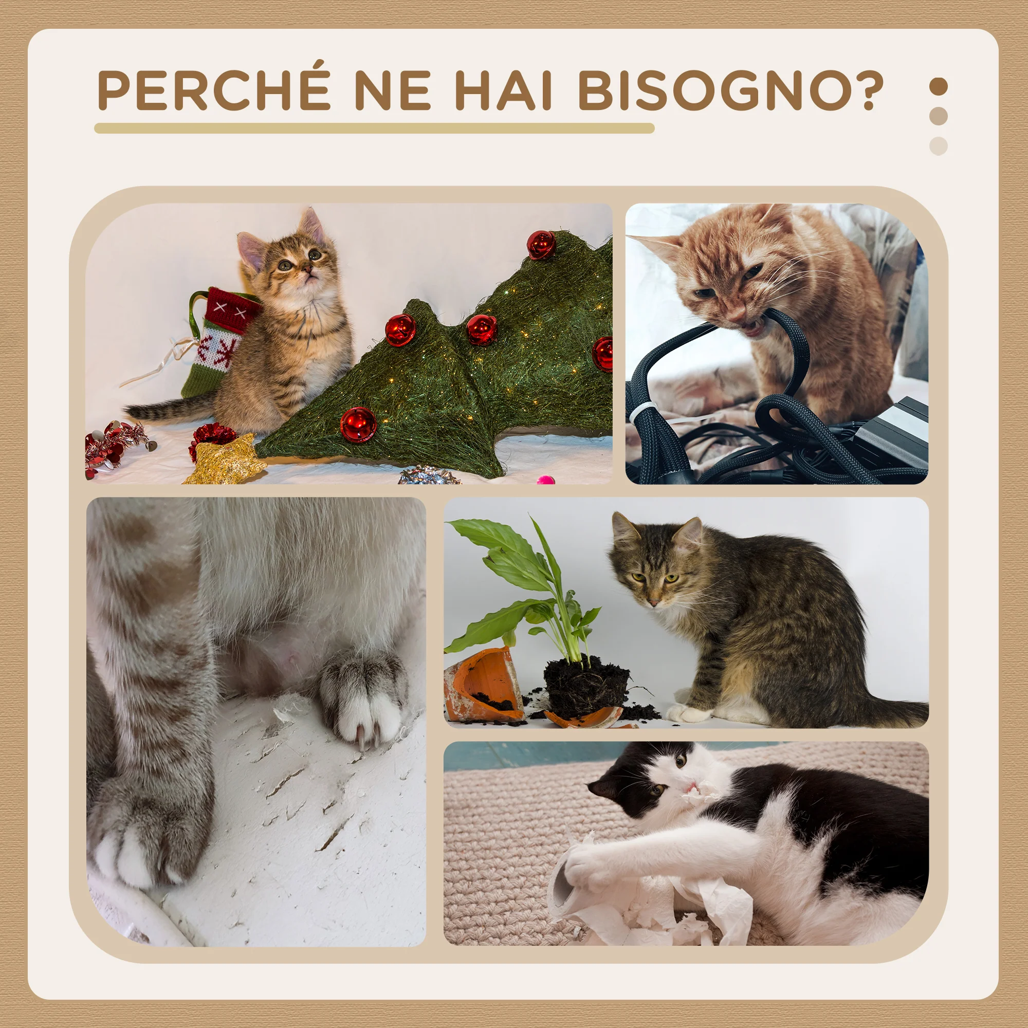 Immagine prodotto 6