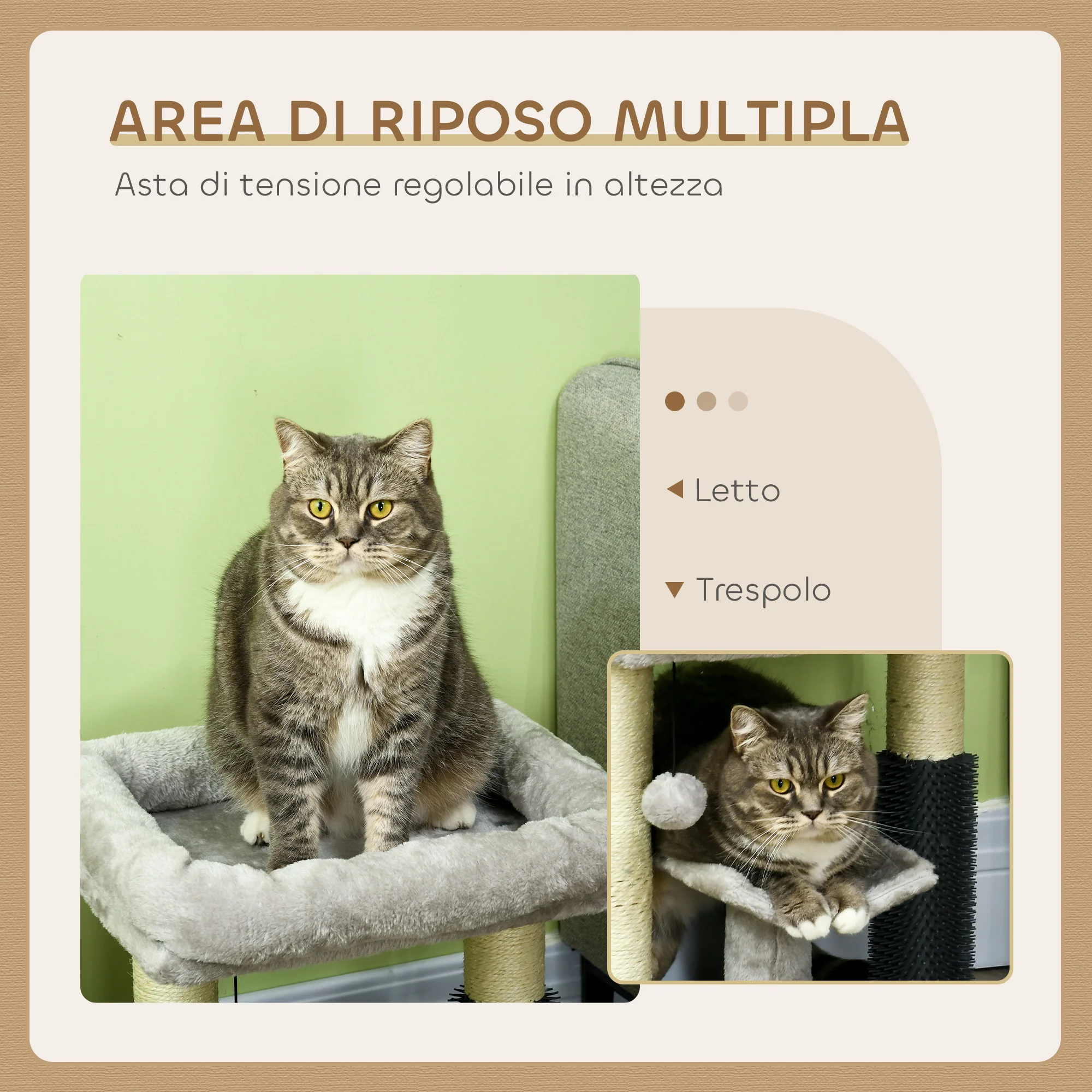 Immagine prodotto 5