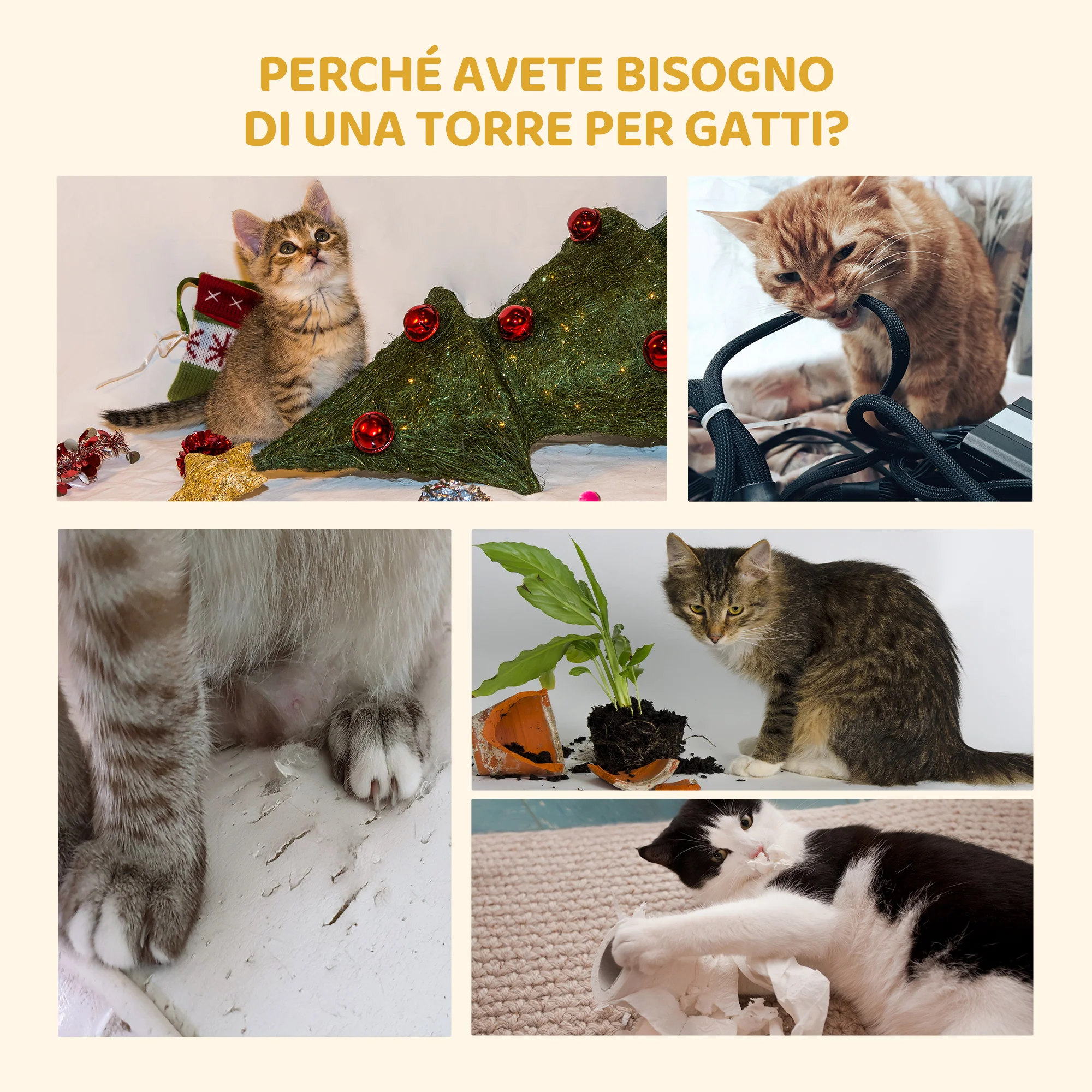 Immagine prodotto 4
