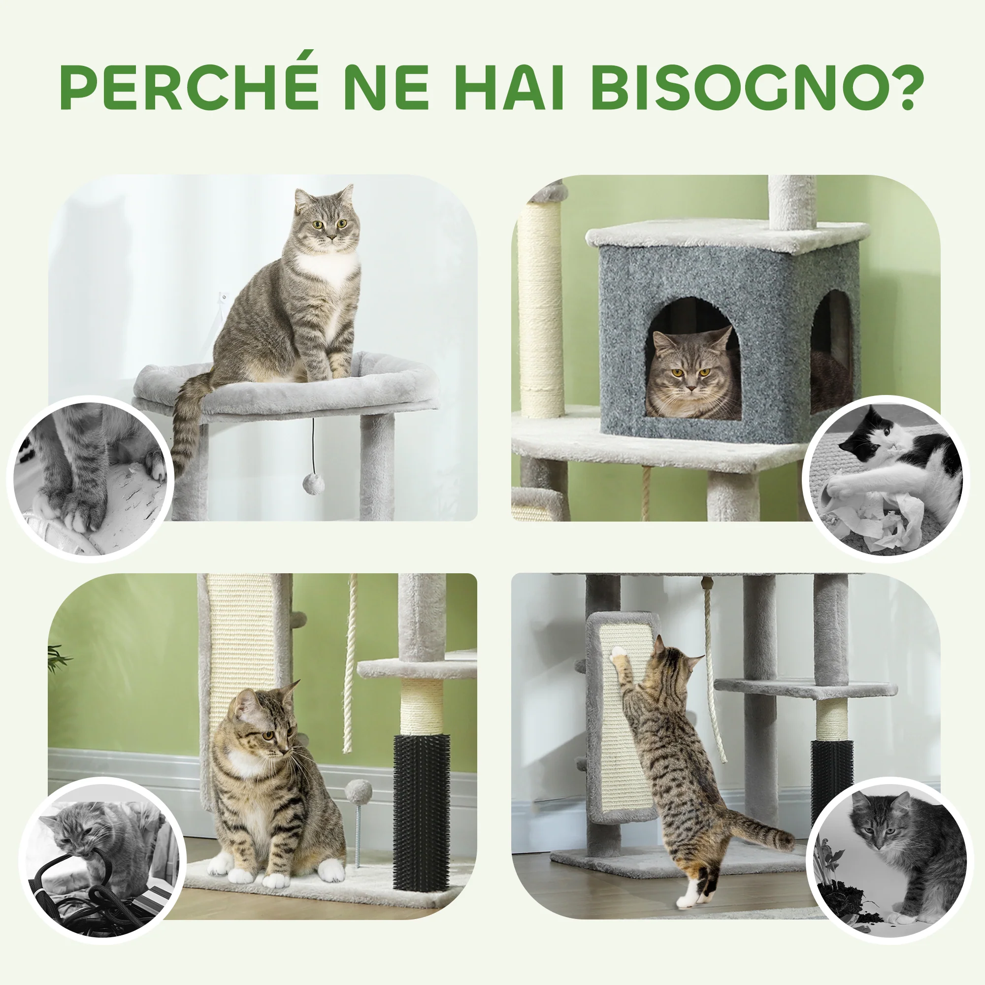 Immagine prodotto 7