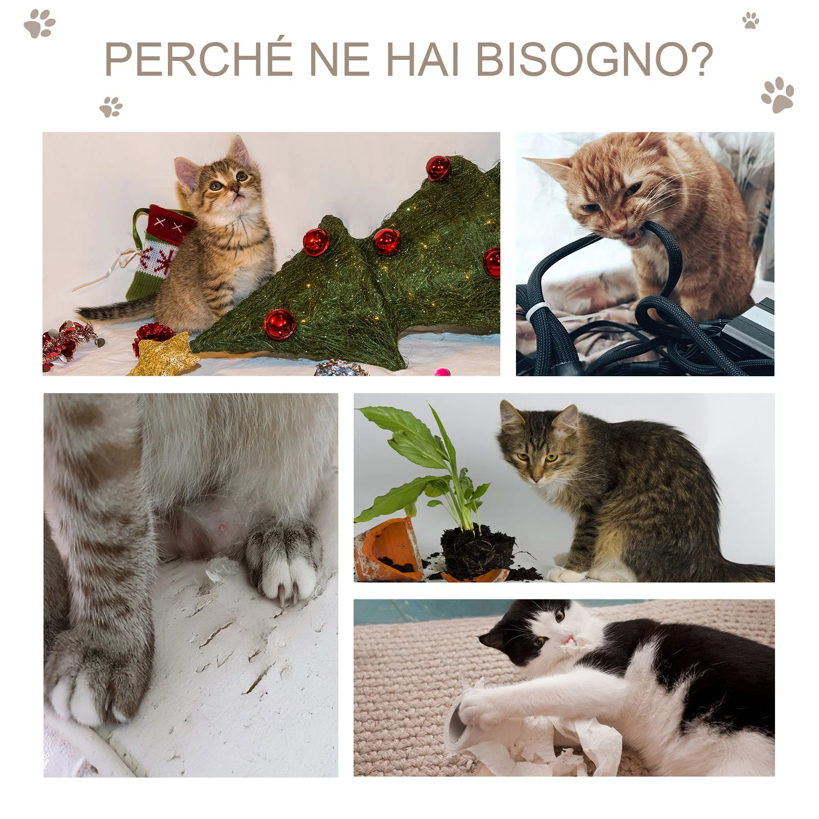 Immagine prodotto 6