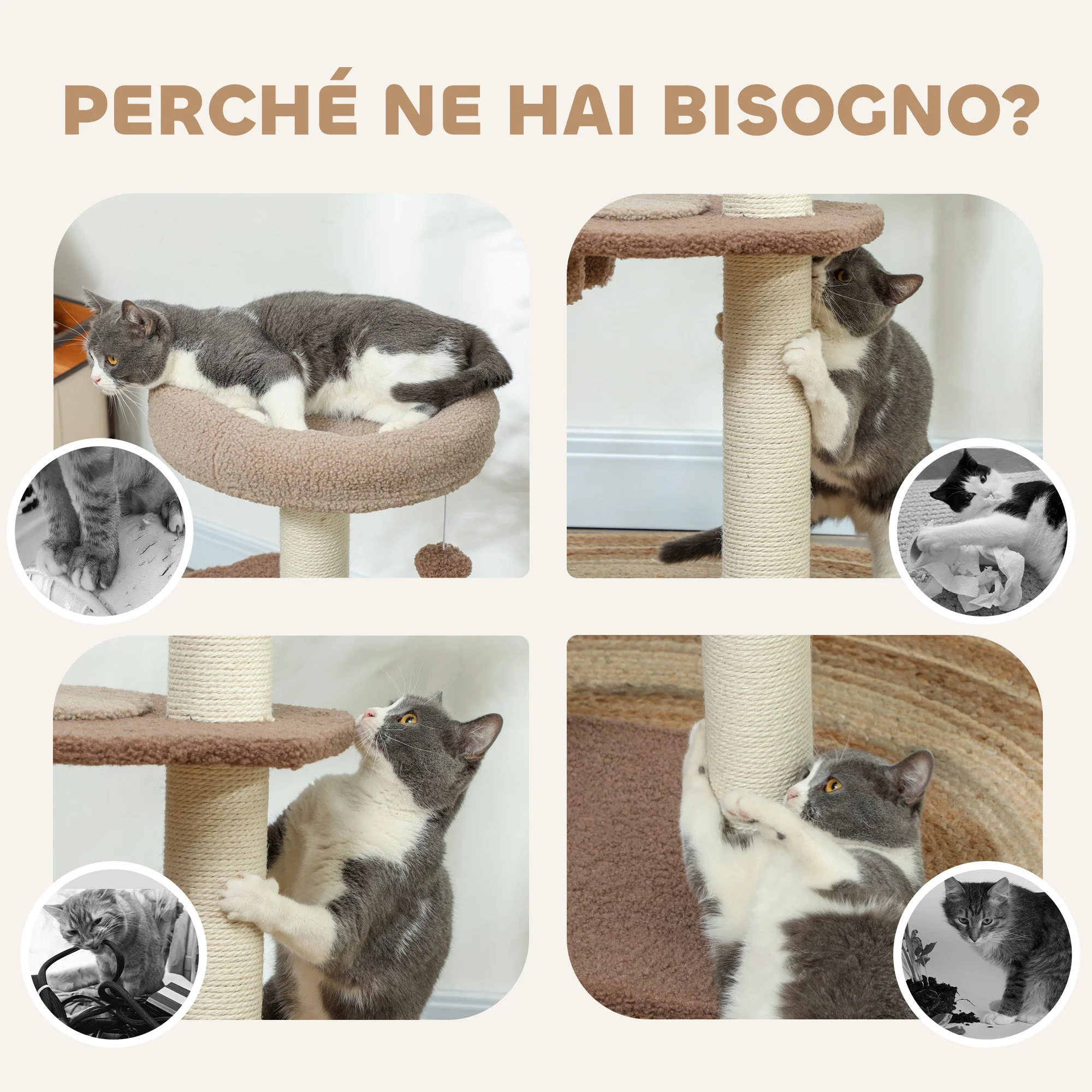 Immagine prodotto 6