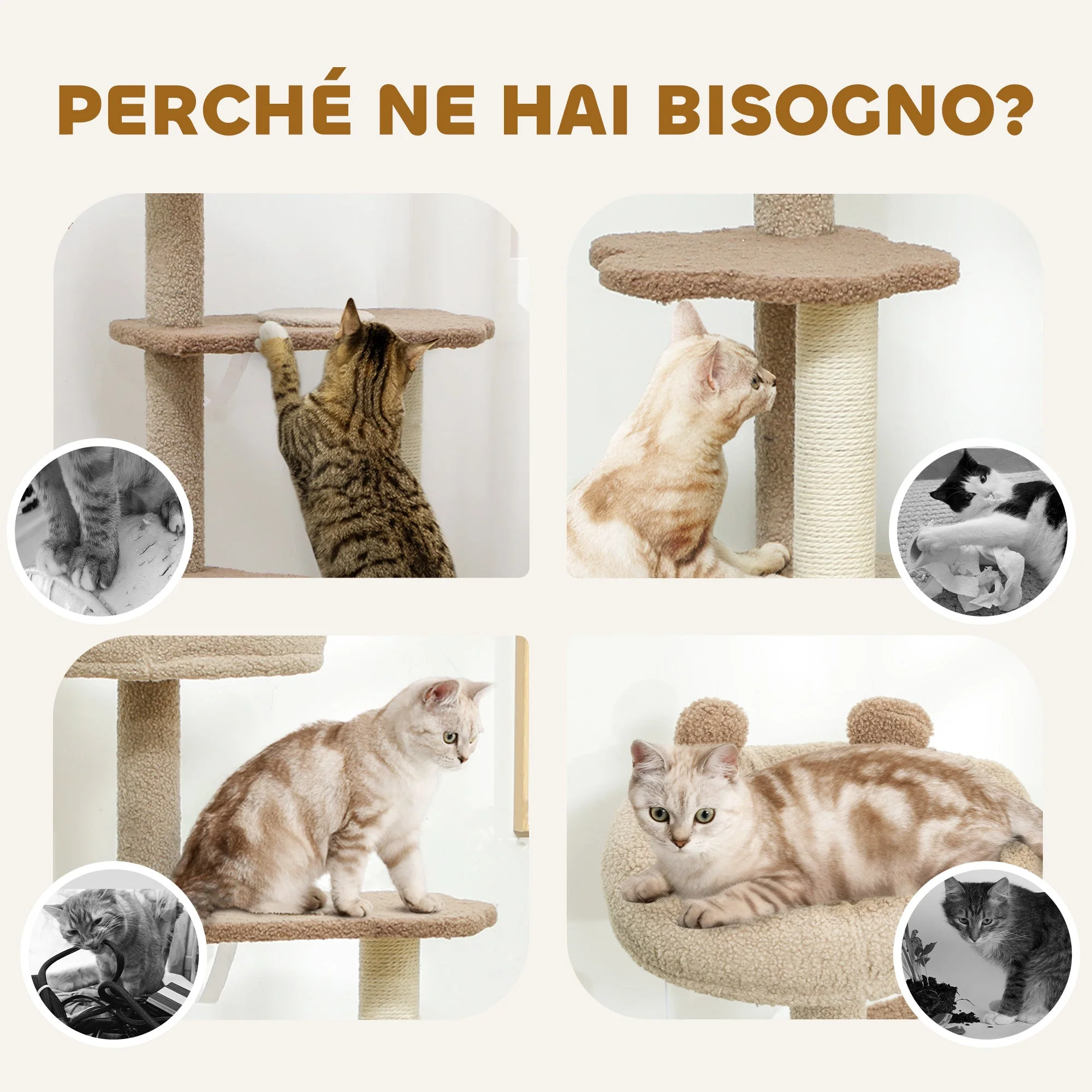 Immagine prodotto 7