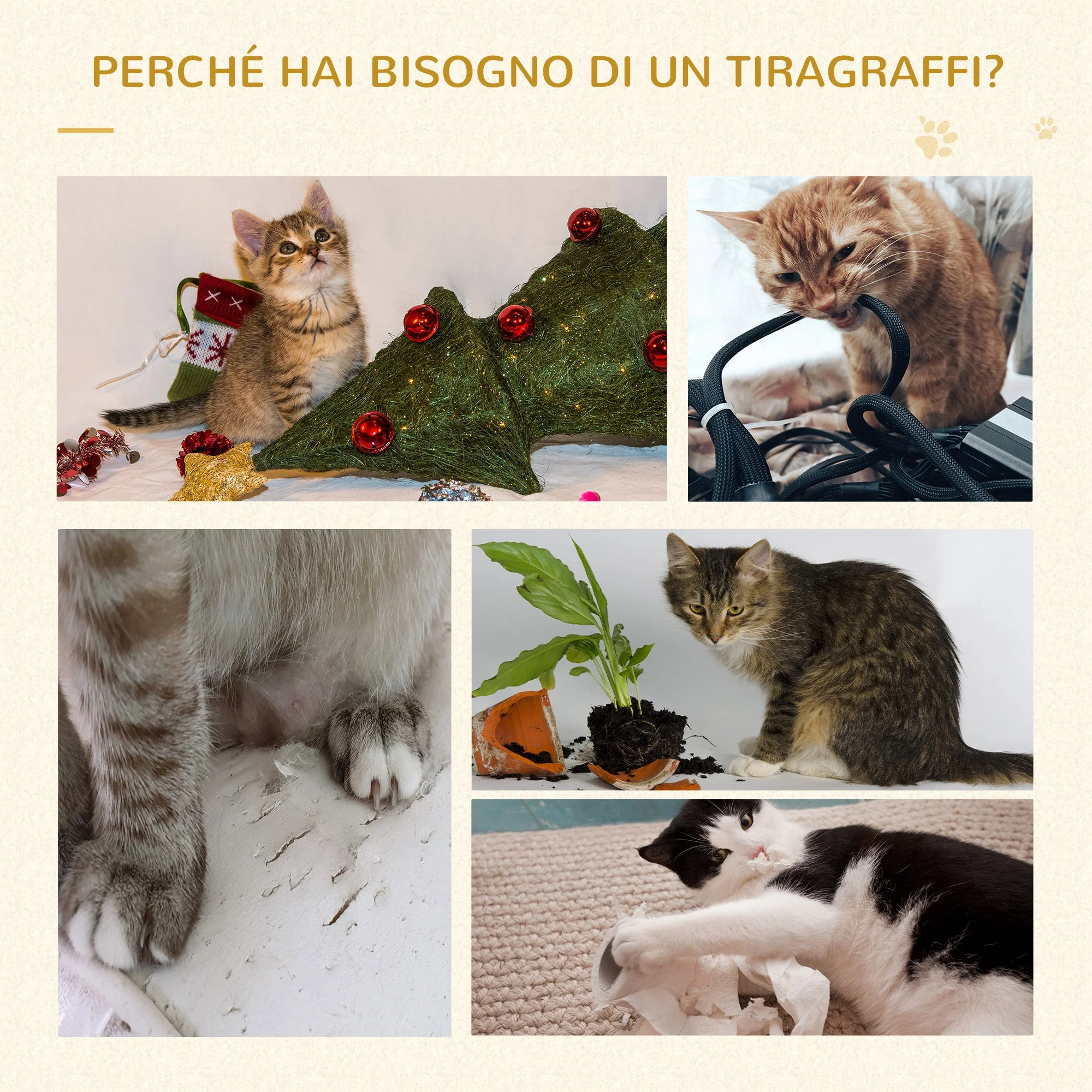 Immagine prodotto 5