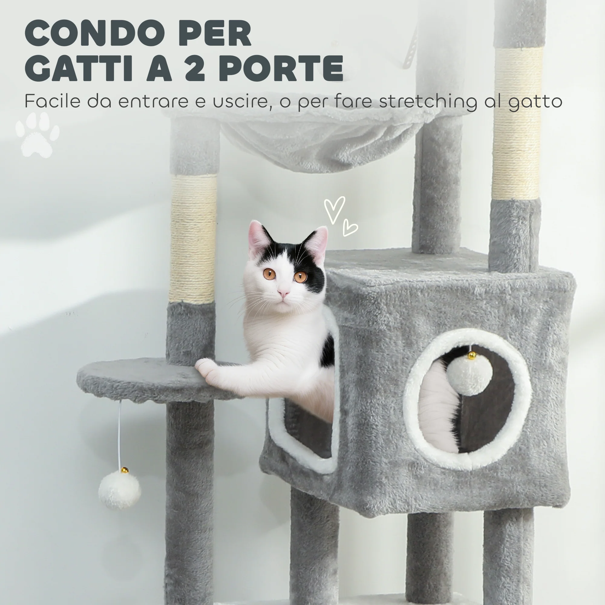 Immagine prodotto 5