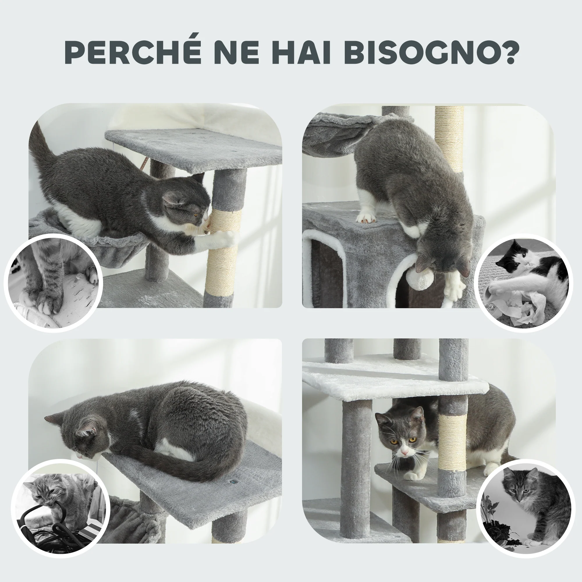 Immagine prodotto 8