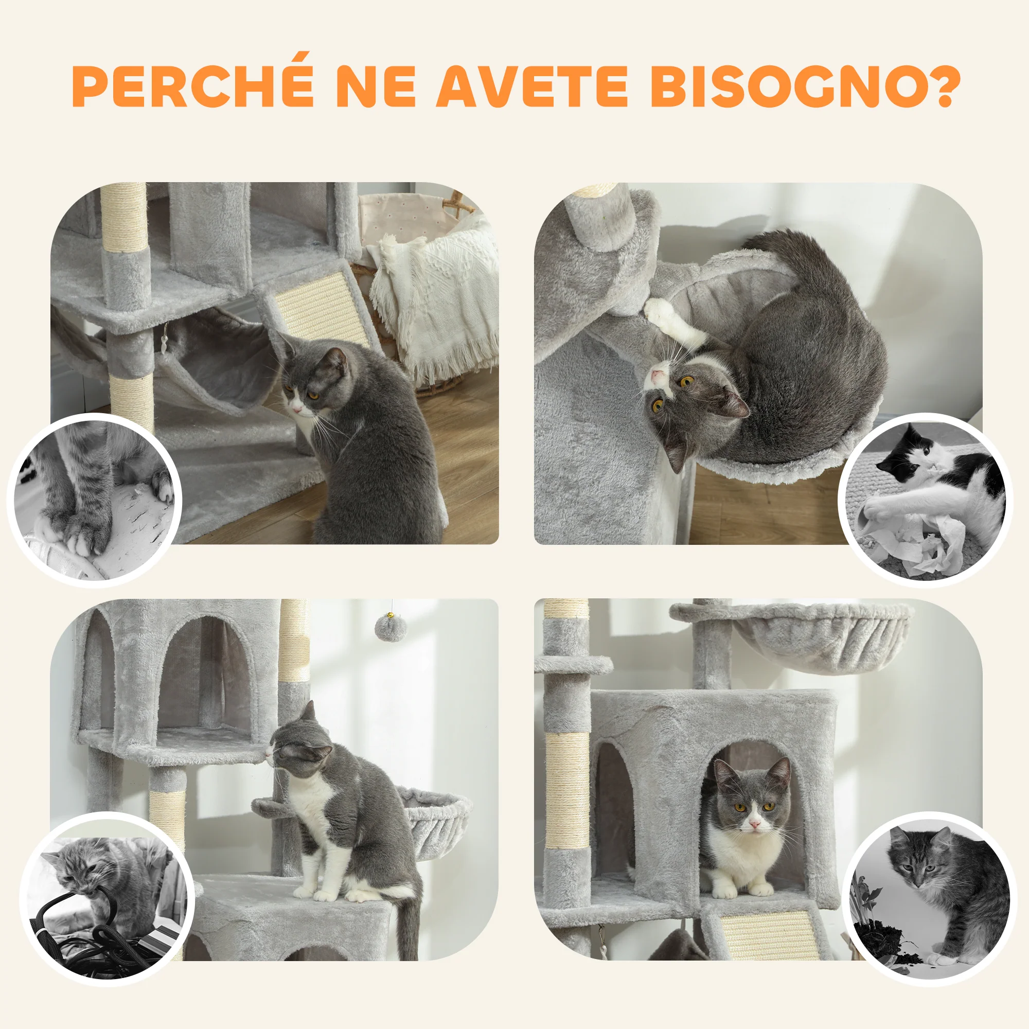 Immagine prodotto 7