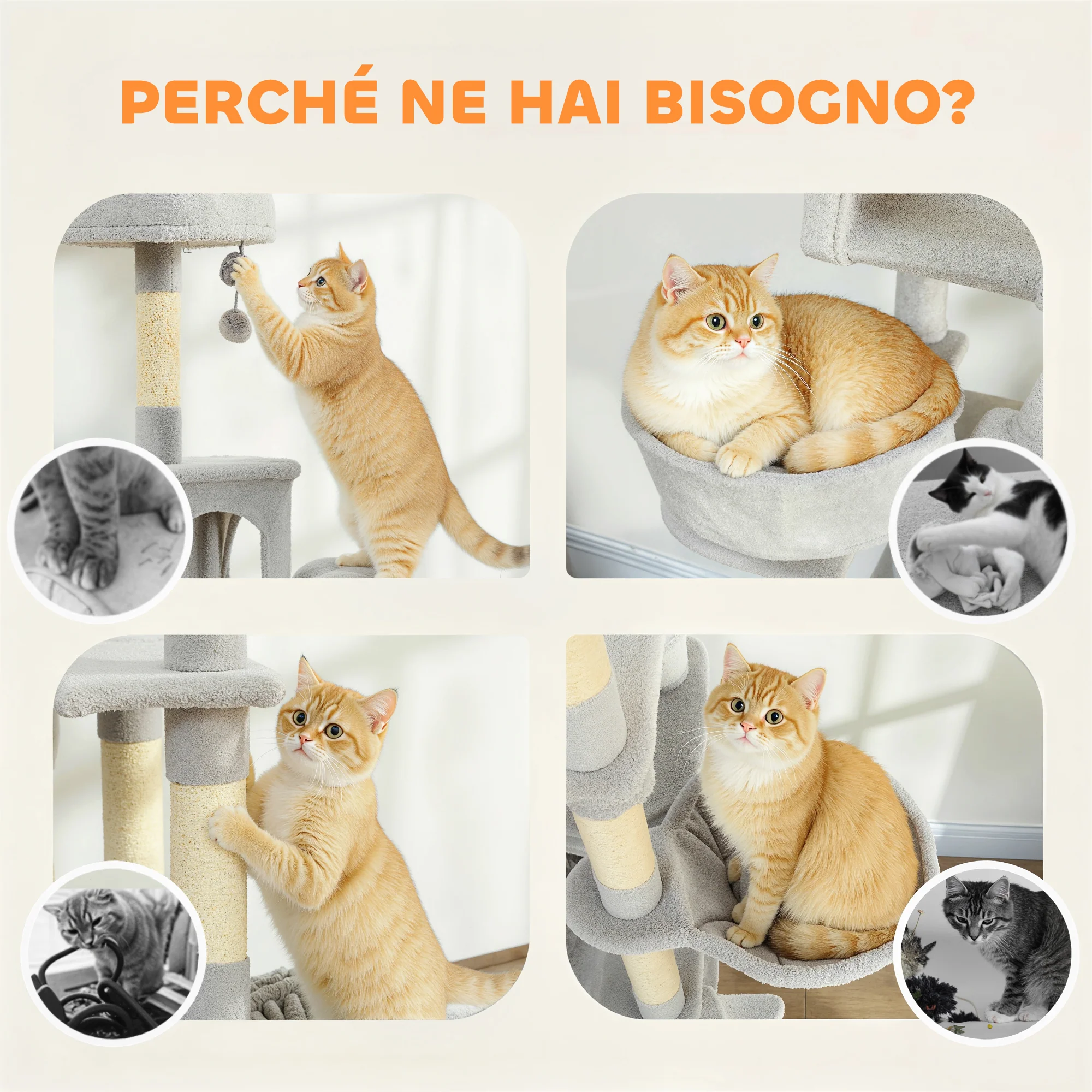 Immagine prodotto 7