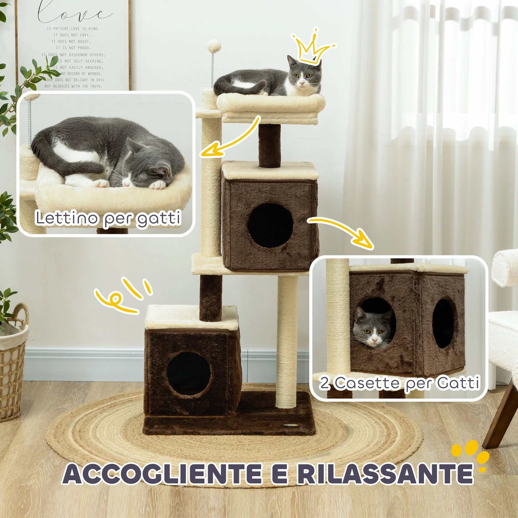 Immagine prodotto 5