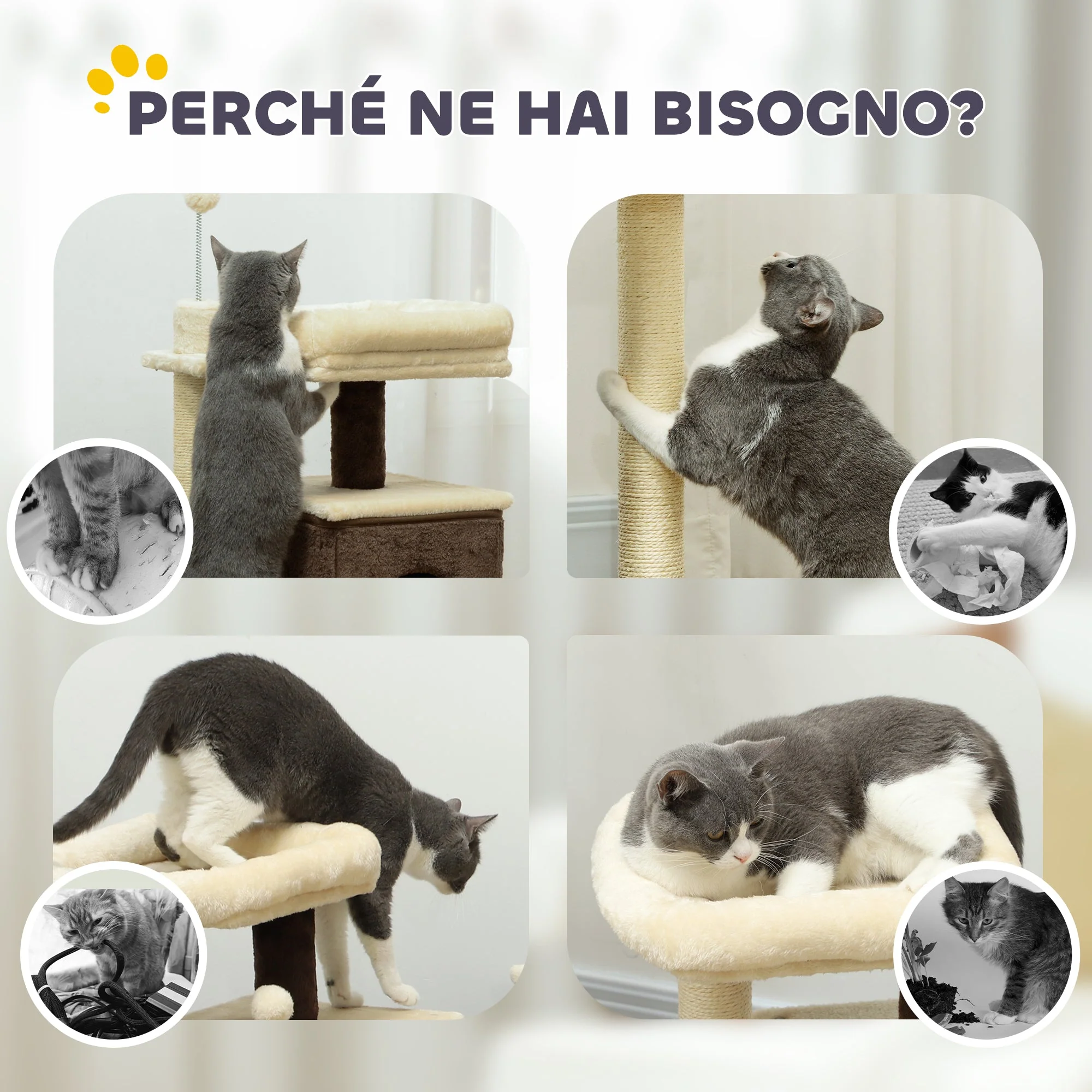 Immagine prodotto 8