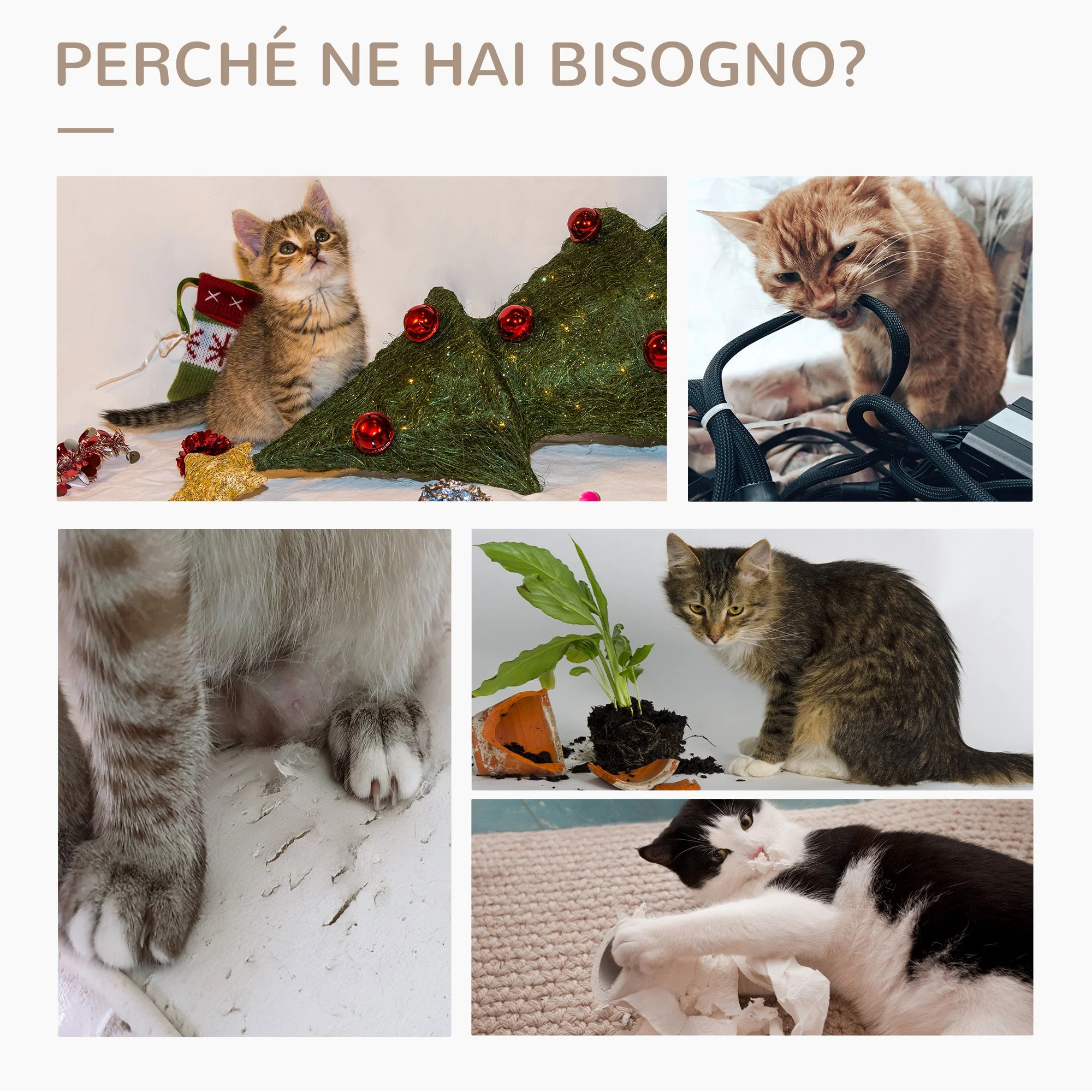 Immagine prodotto 6