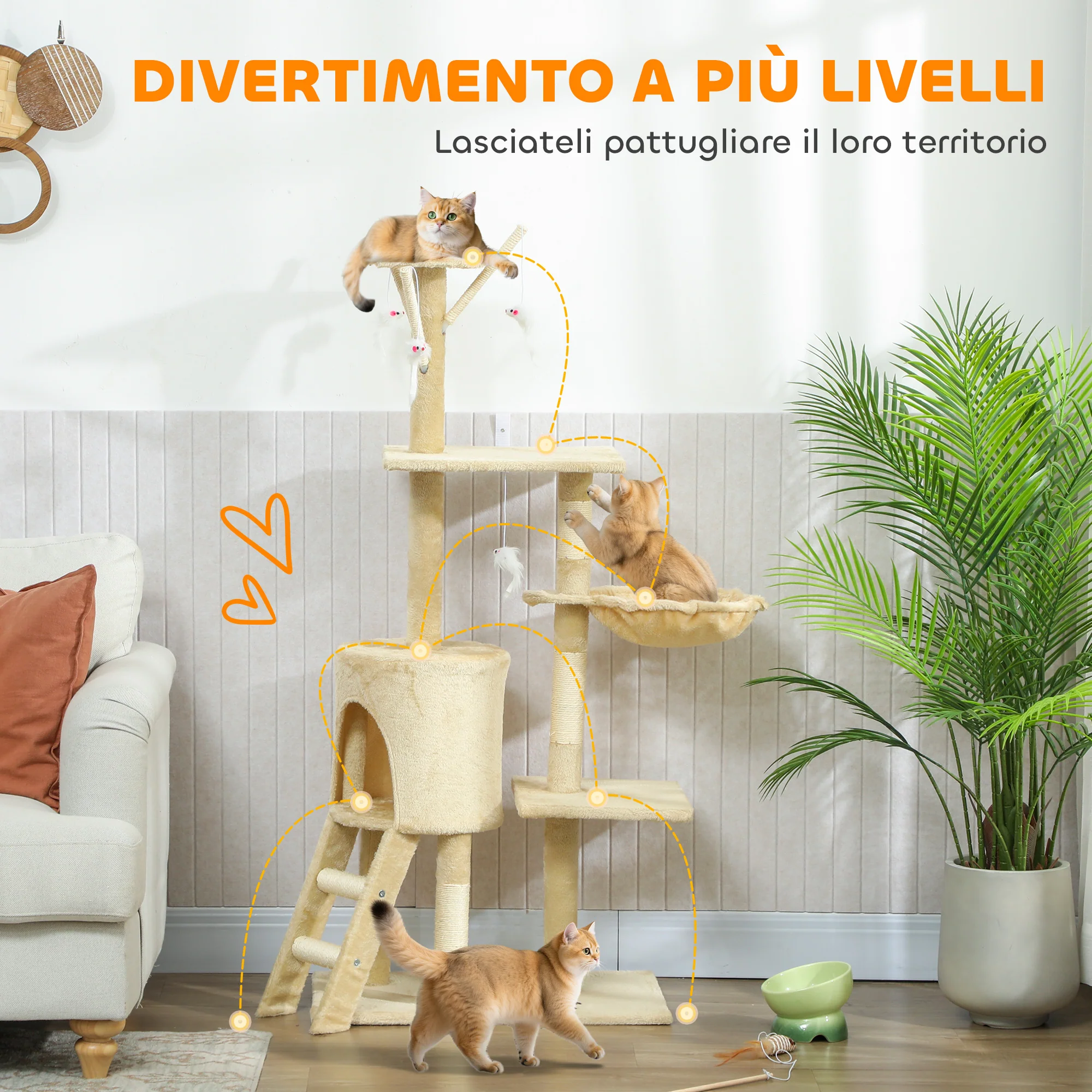 Immagine prodotto 4