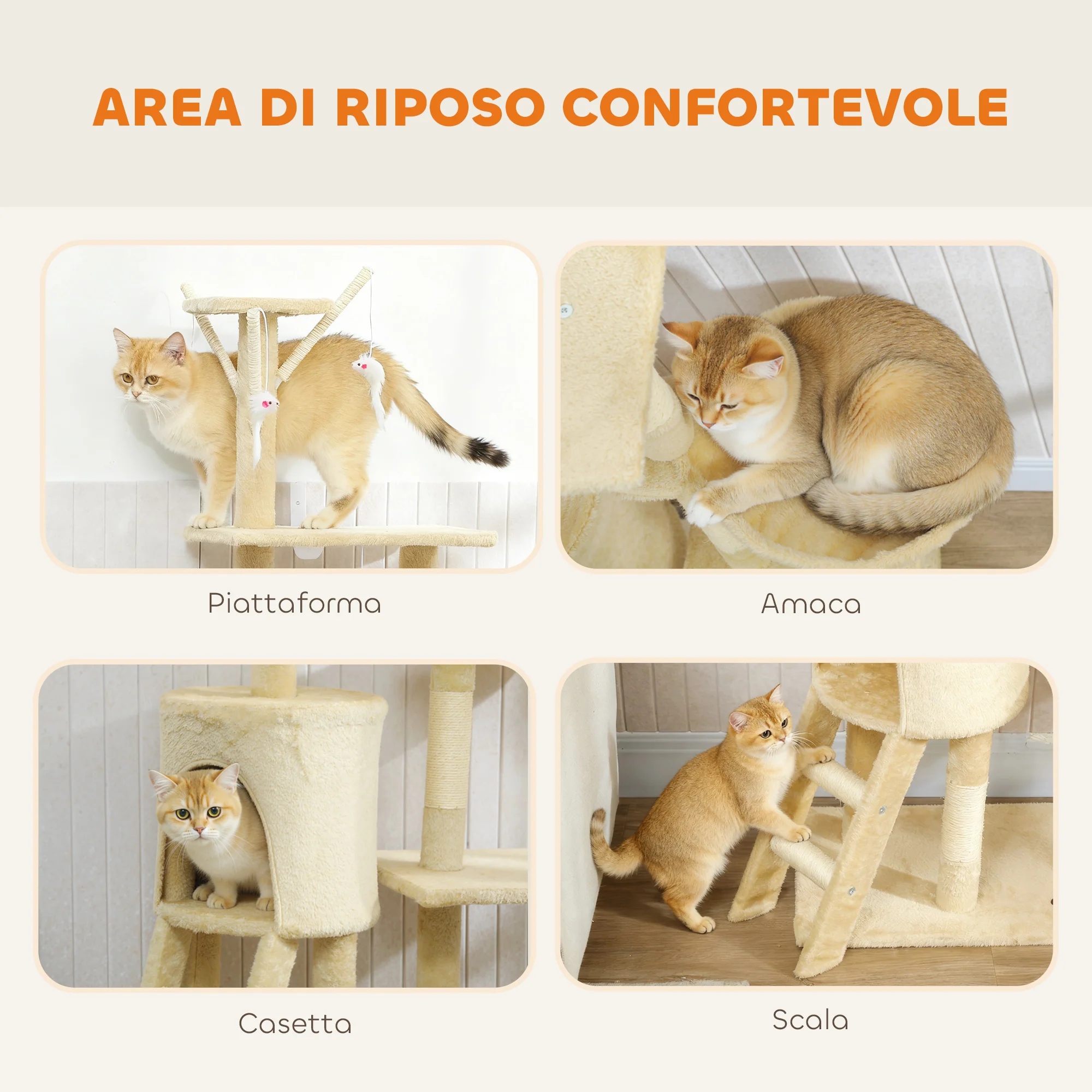 Immagine prodotto 5