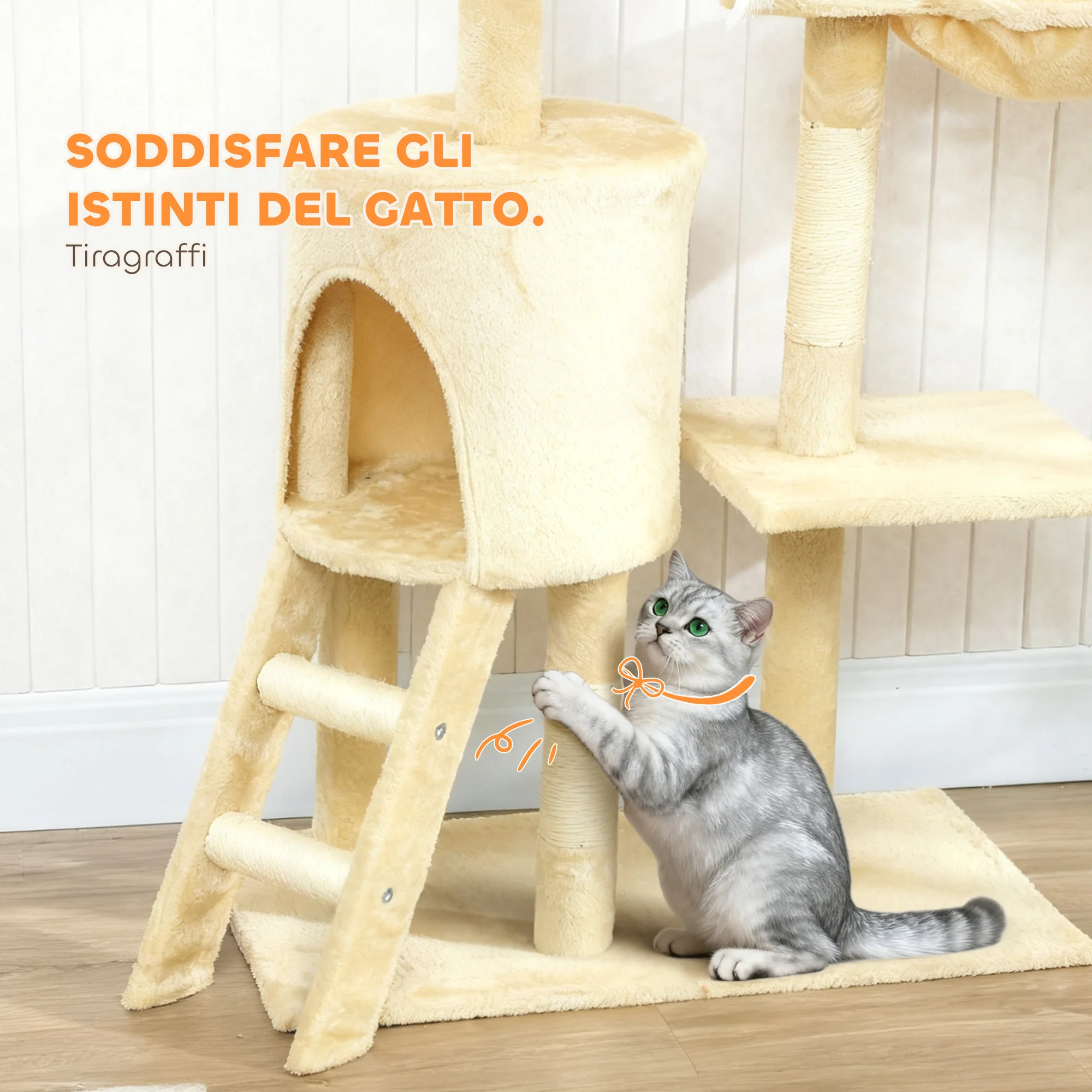 Immagine prodotto 7