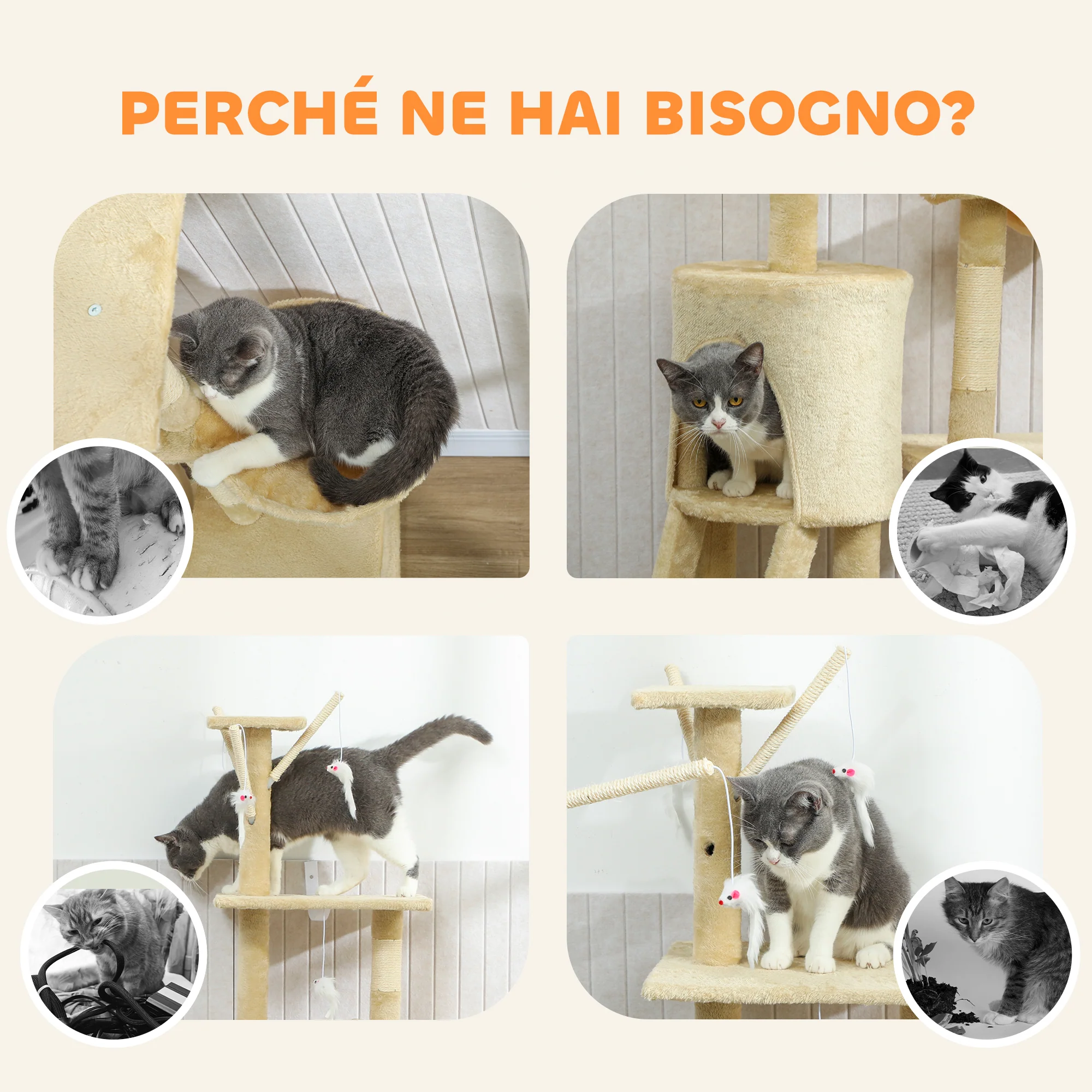Immagine prodotto 8