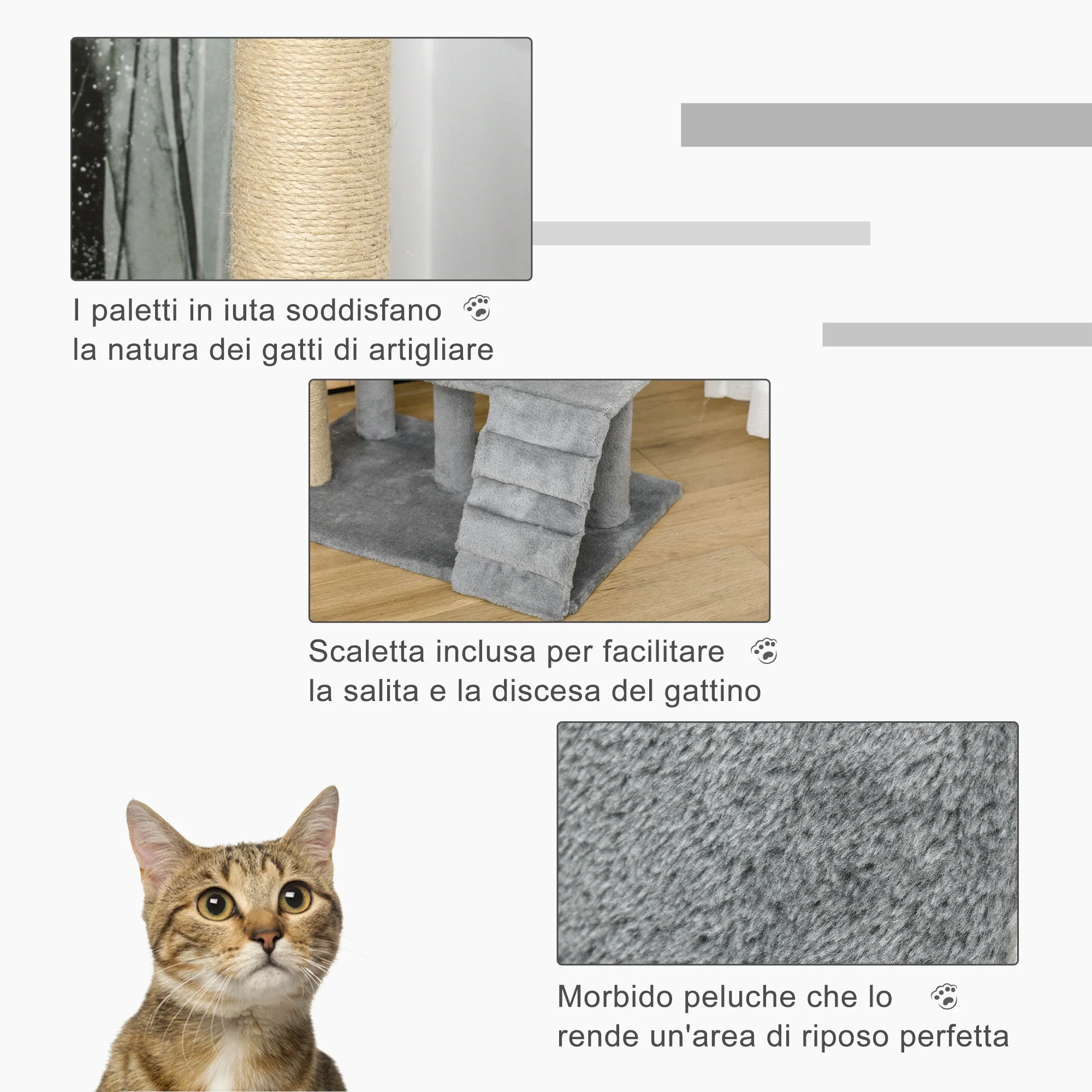Immagine prodotto 5