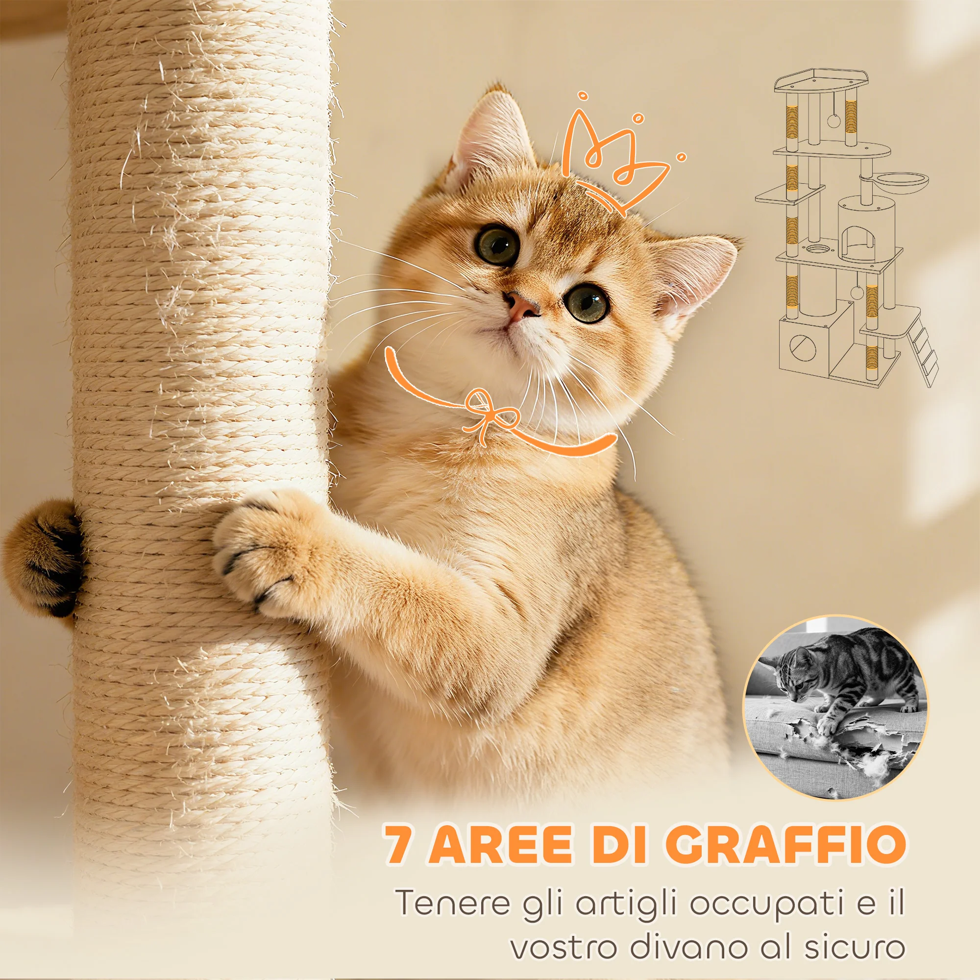 Immagine prodotto 8