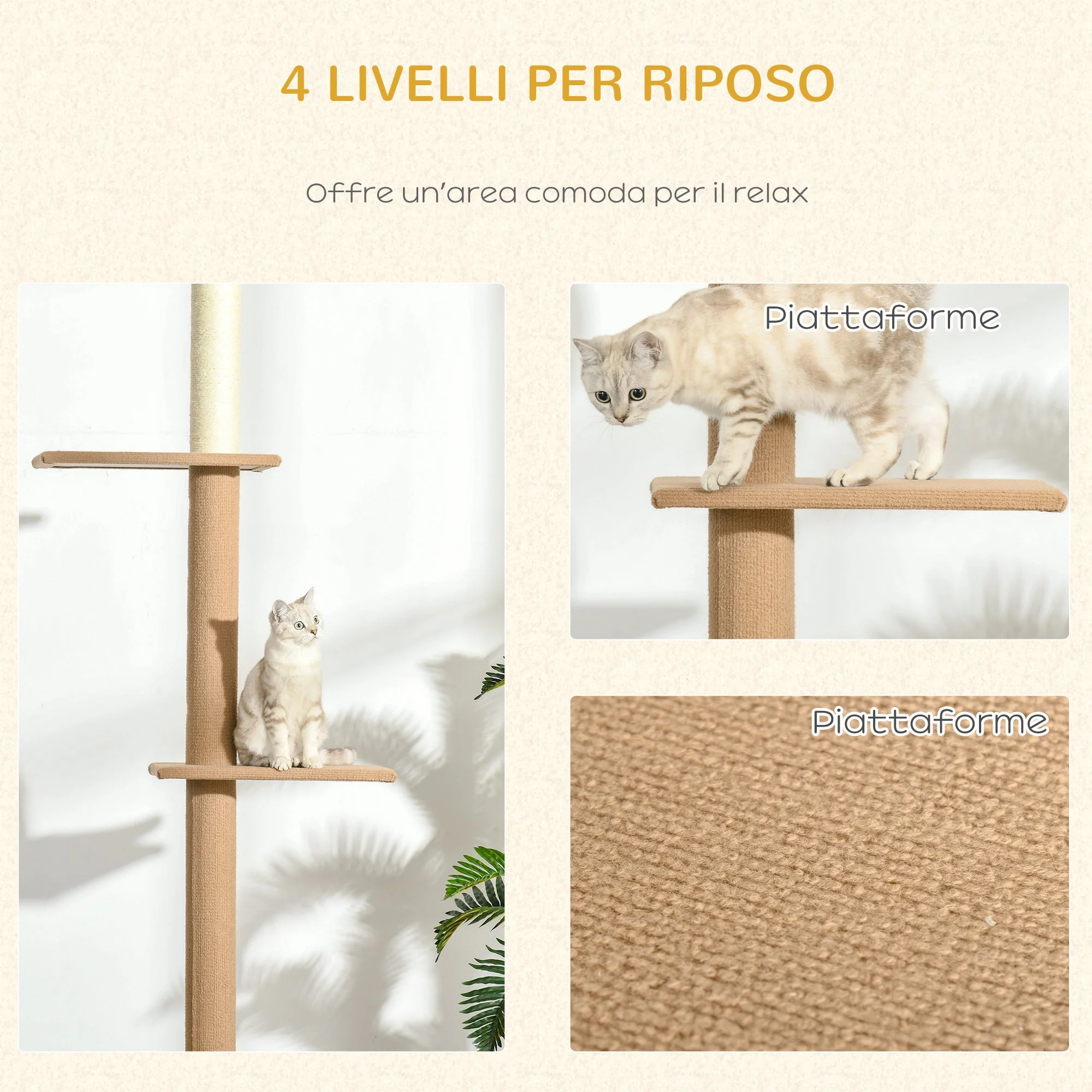 Immagine prodotto 6