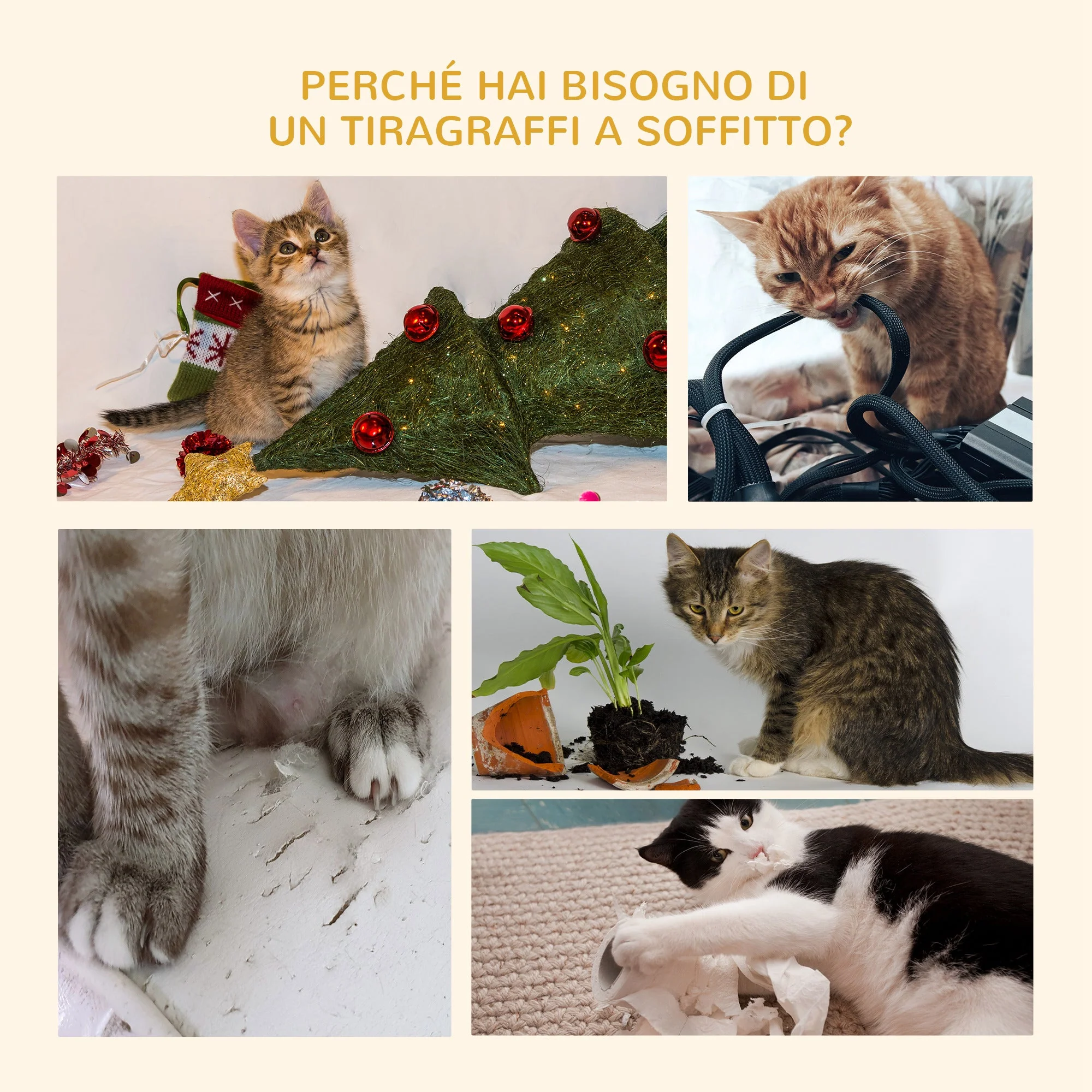 Immagine prodotto 7