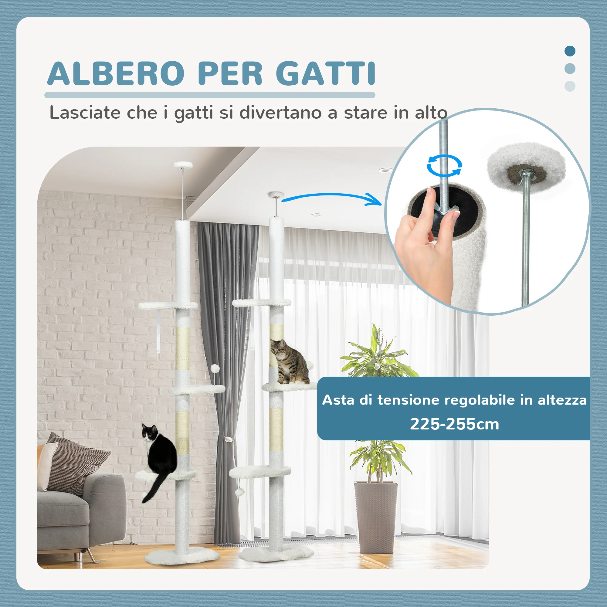 Immagine prodotto 5