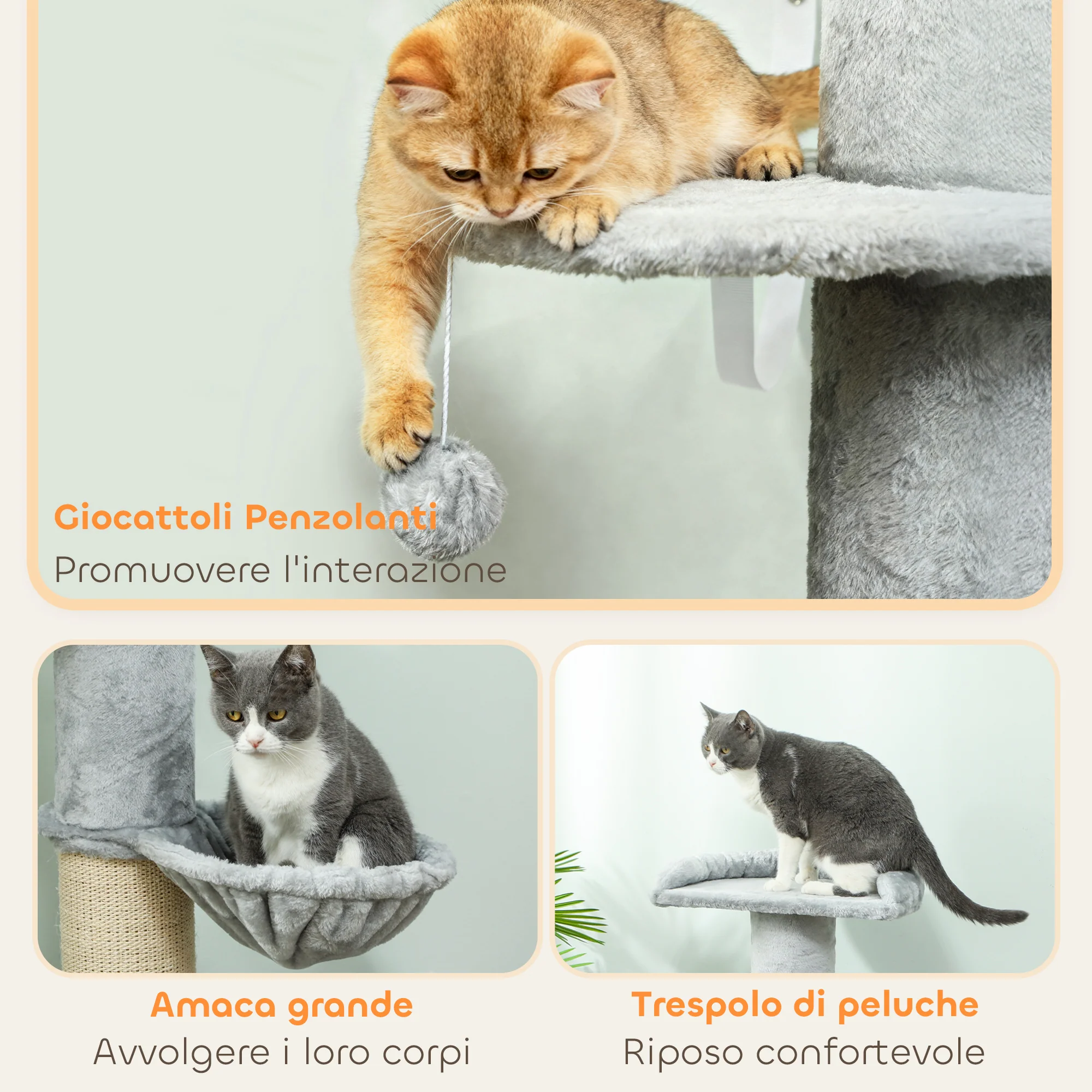 Immagine prodotto 5