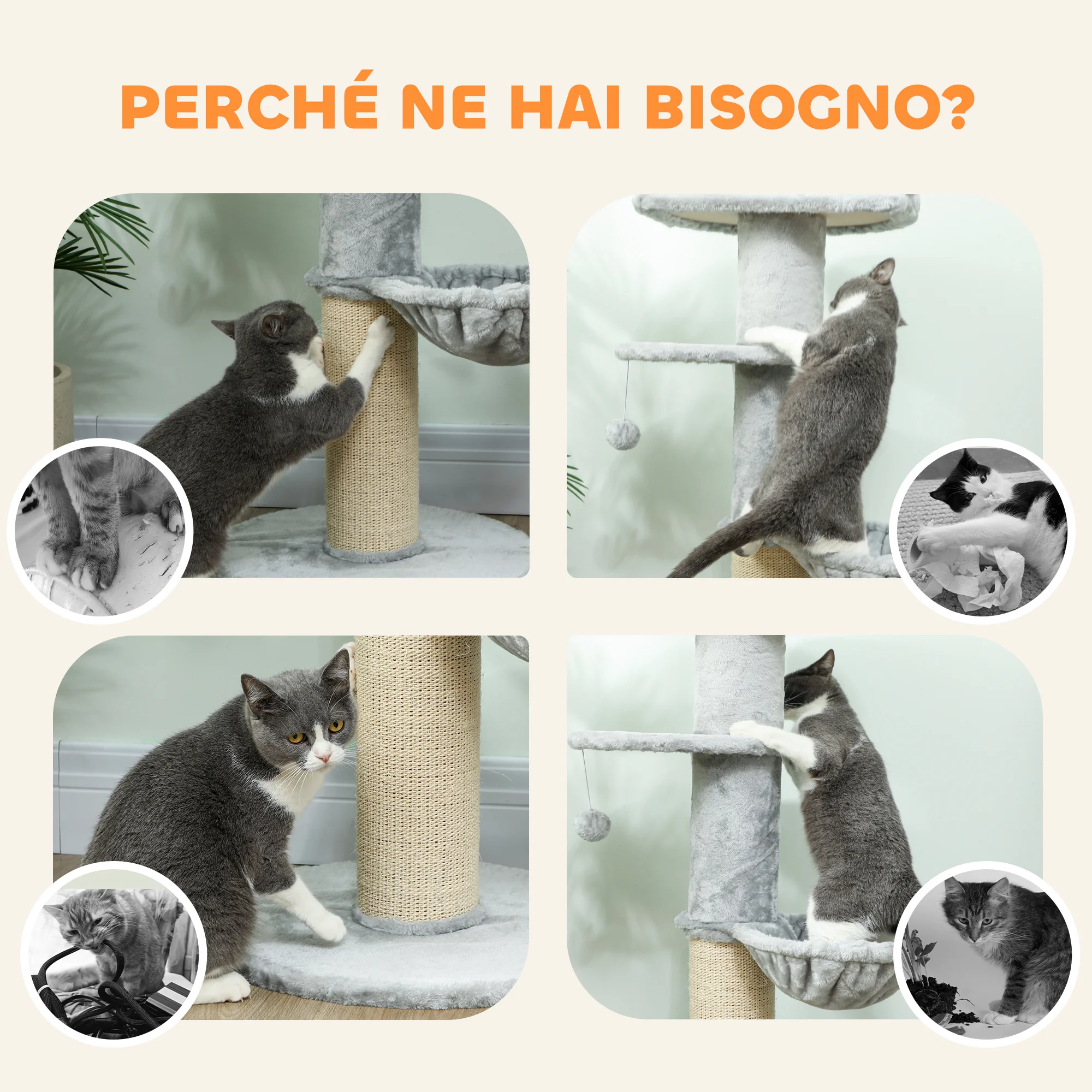 Immagine prodotto 7