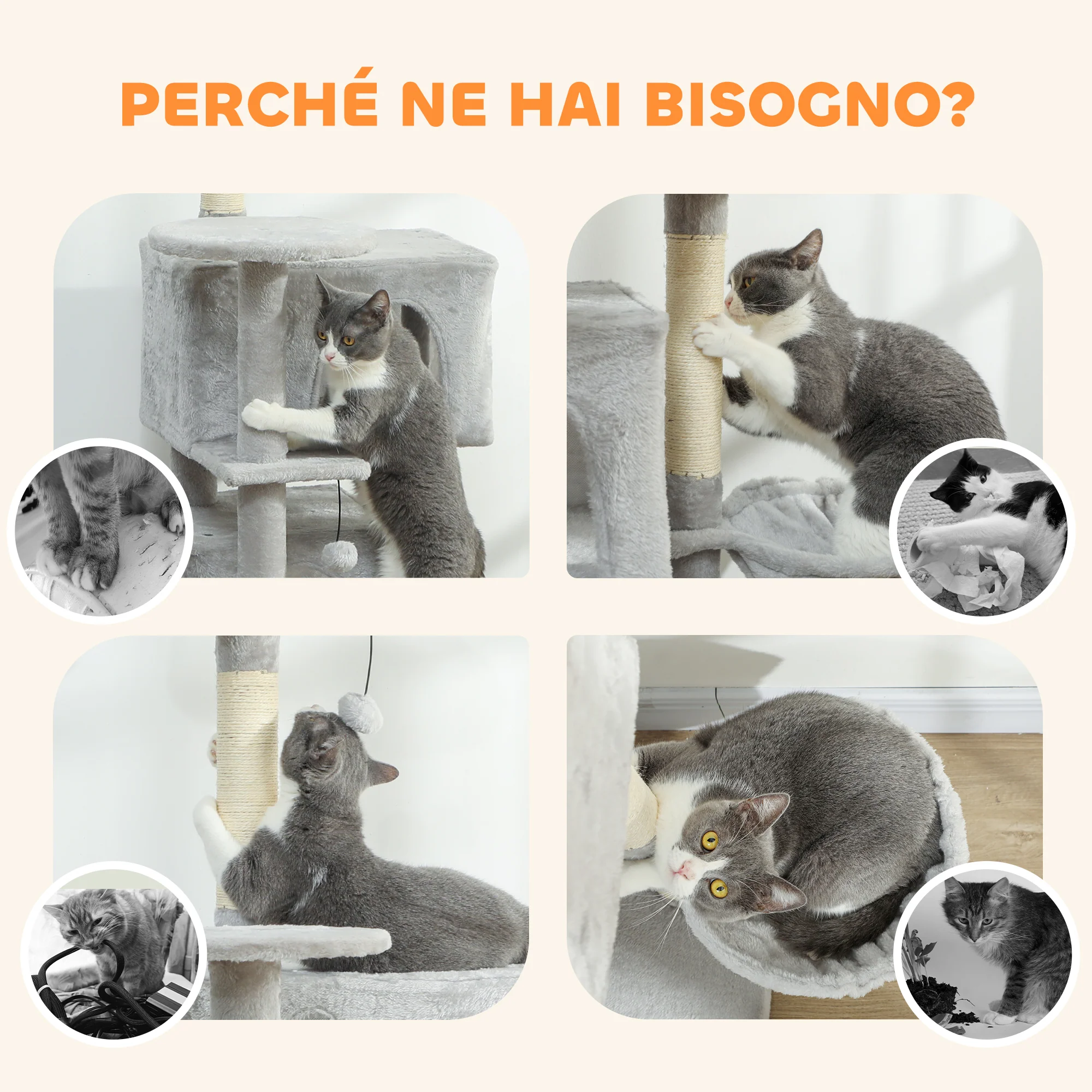 Immagine prodotto 8