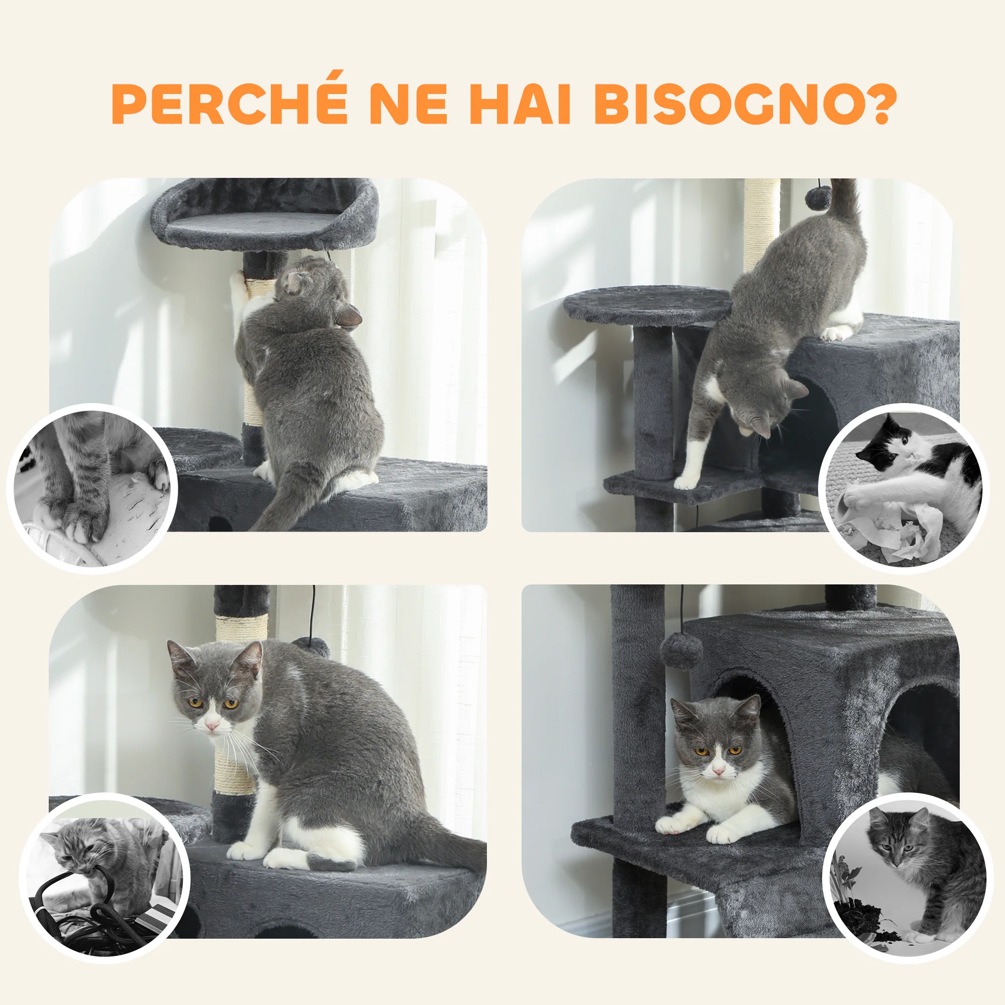 Immagine prodotto 8