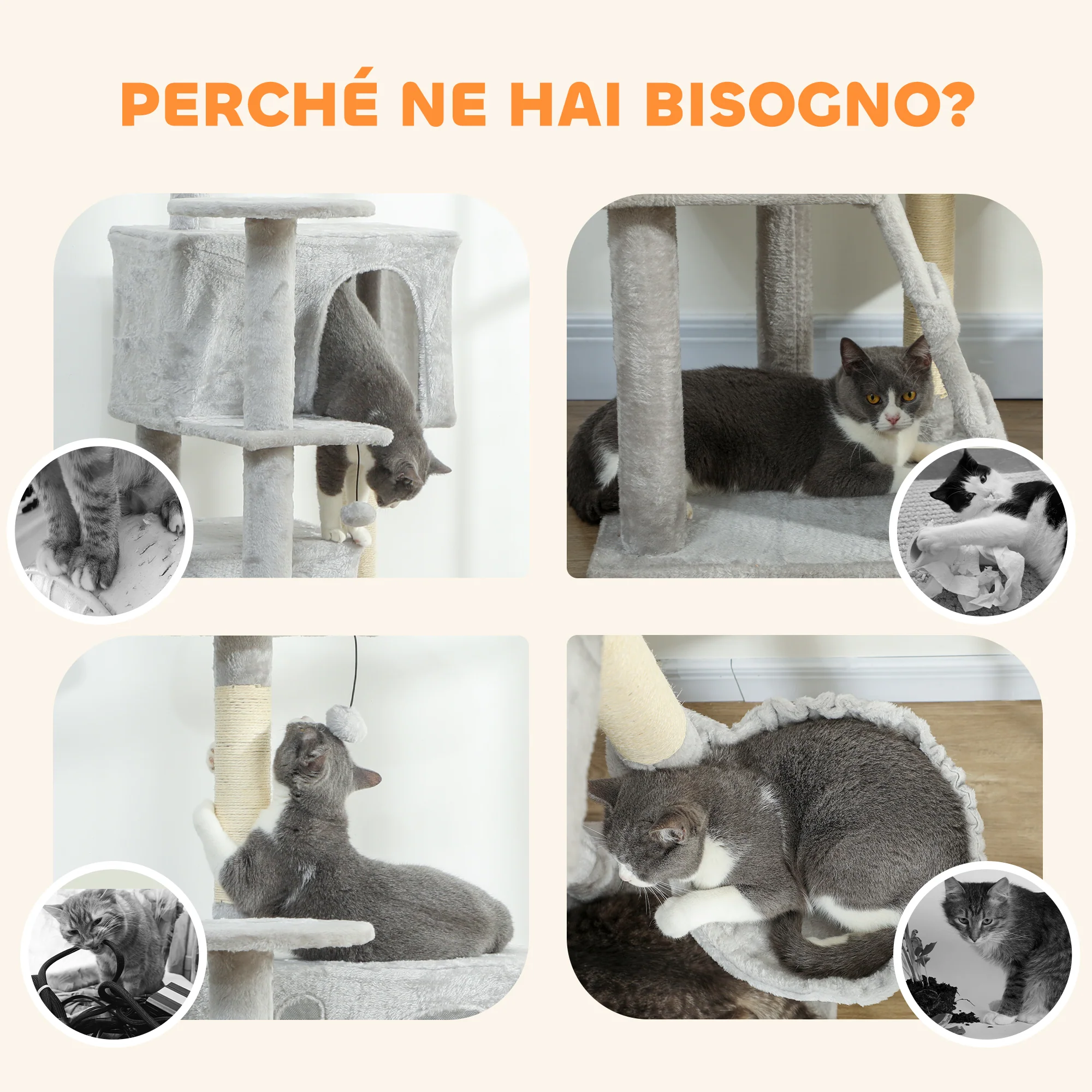 Immagine prodotto 8