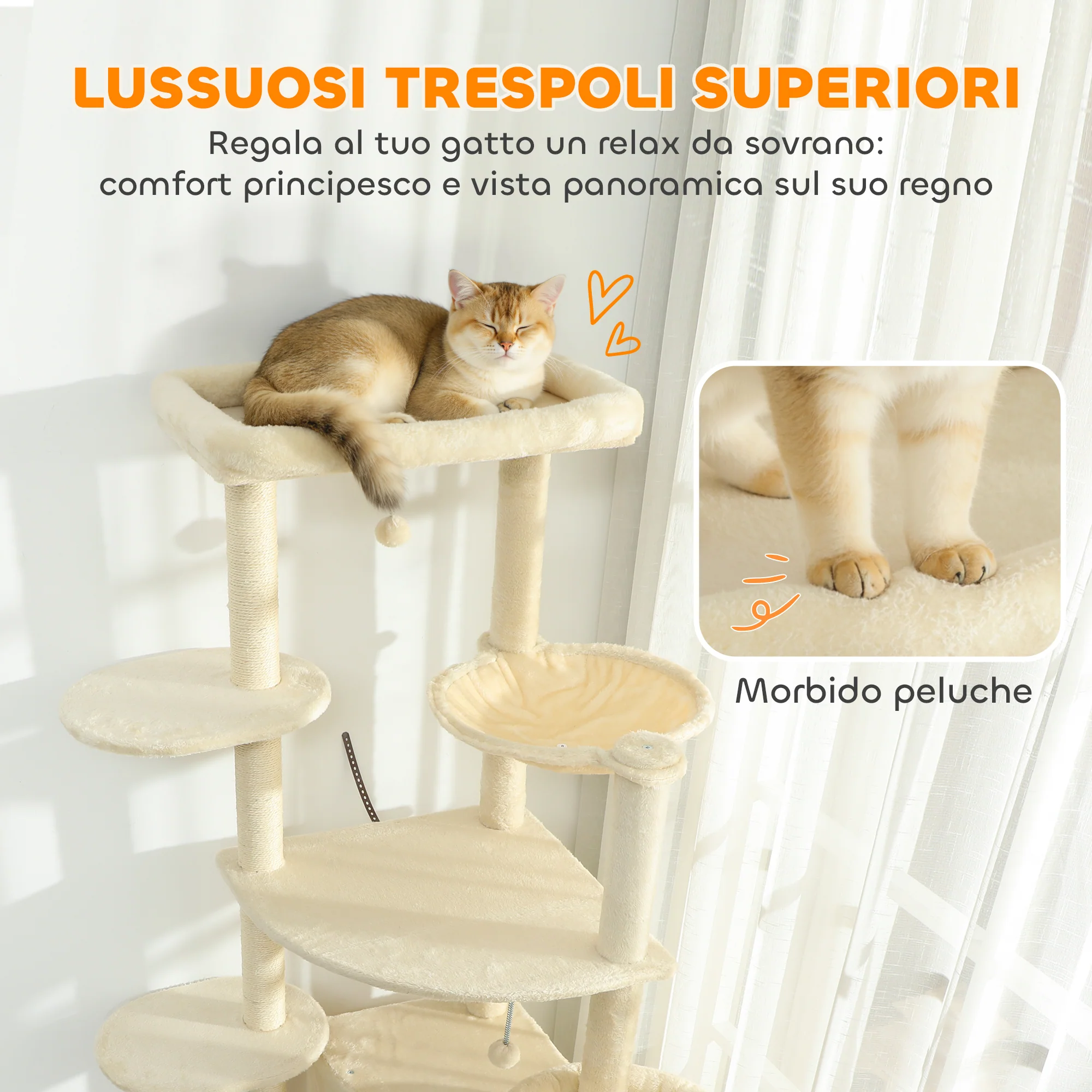Immagine prodotto 5