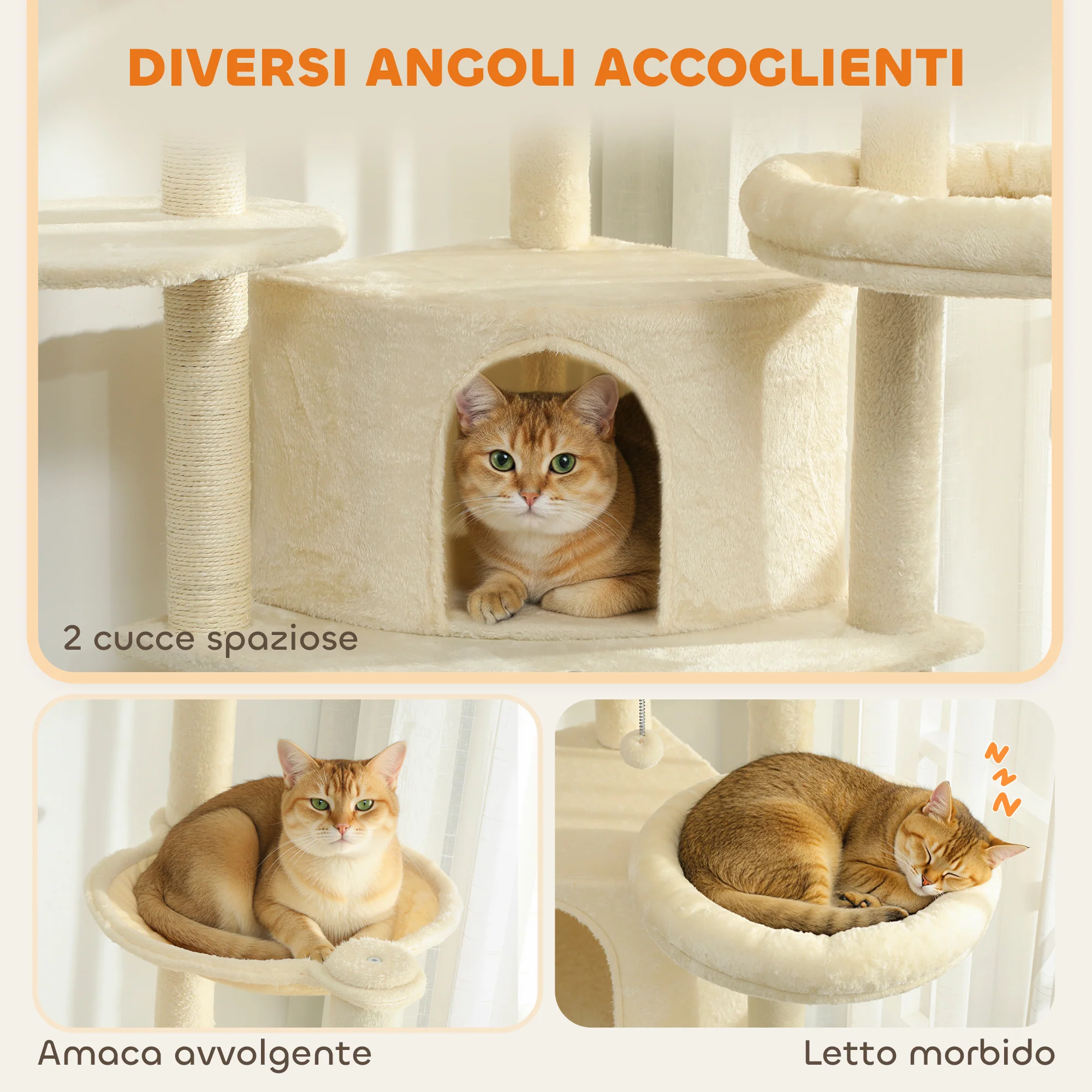 Immagine prodotto 6