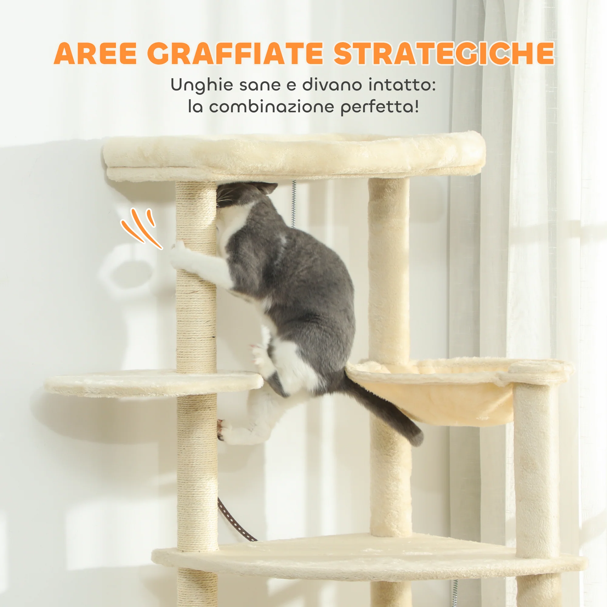 Immagine prodotto 7
