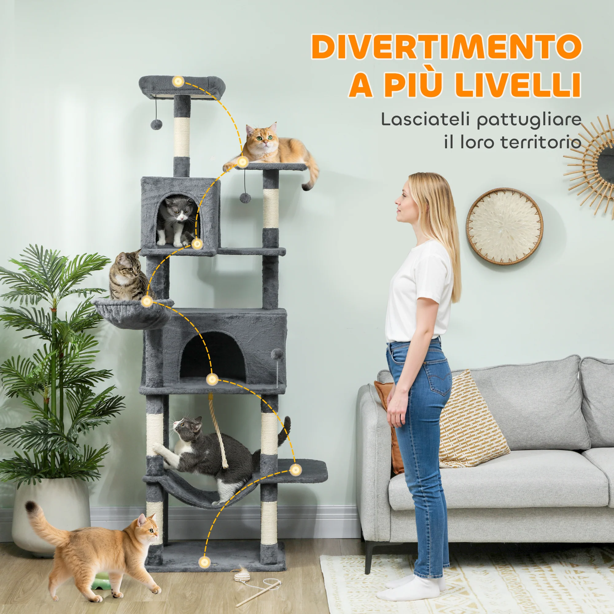 Immagine prodotto 4